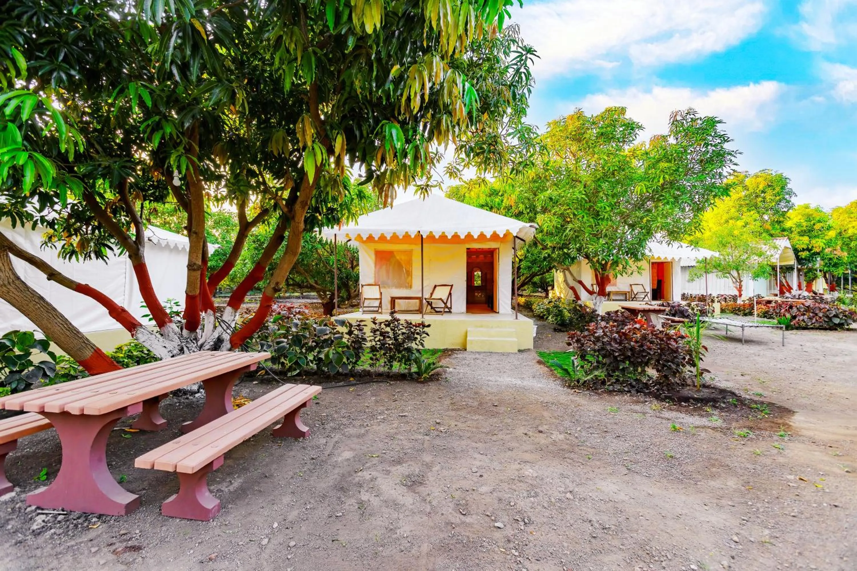 Garden in Amber Resort