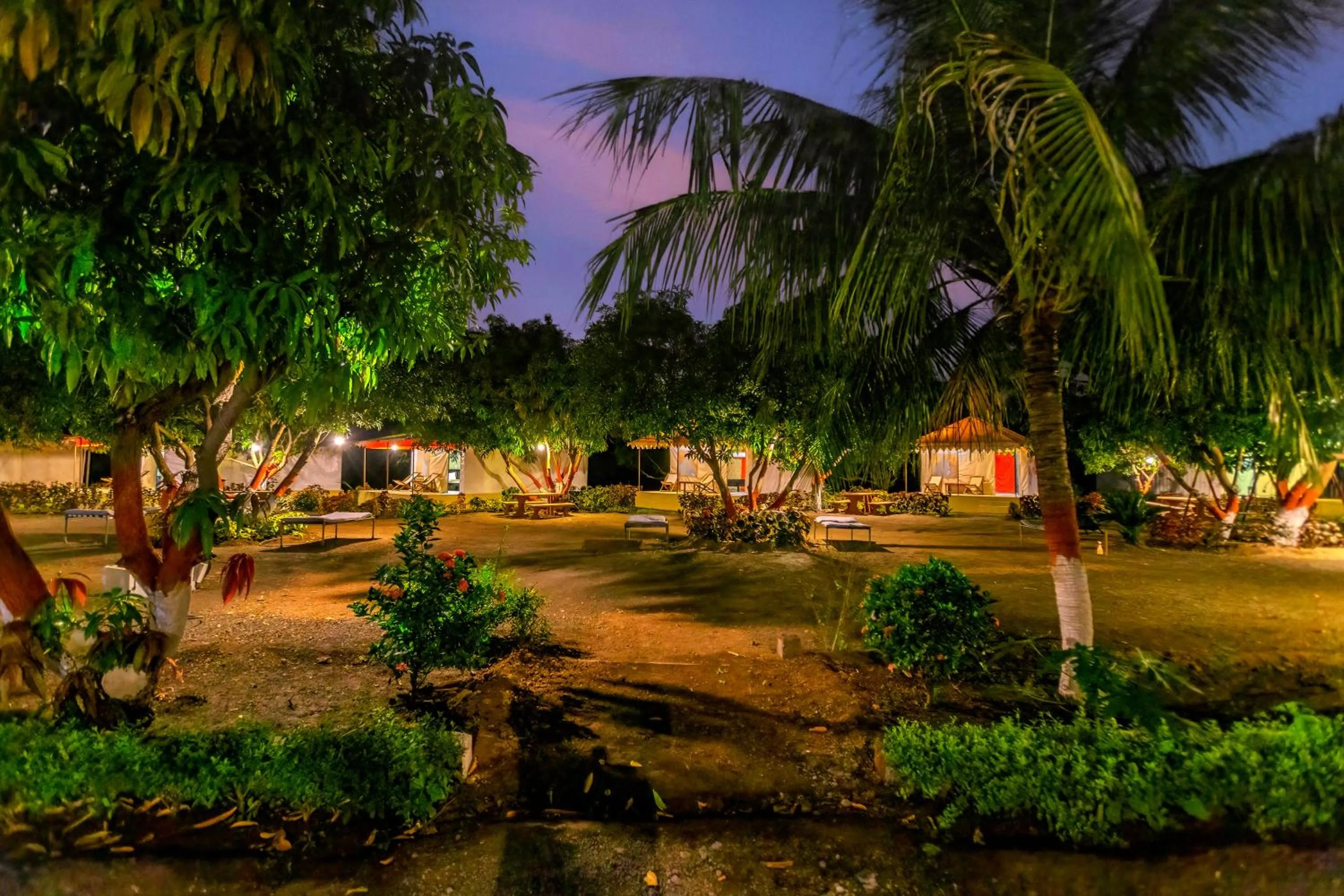 Spring in Amber Resort