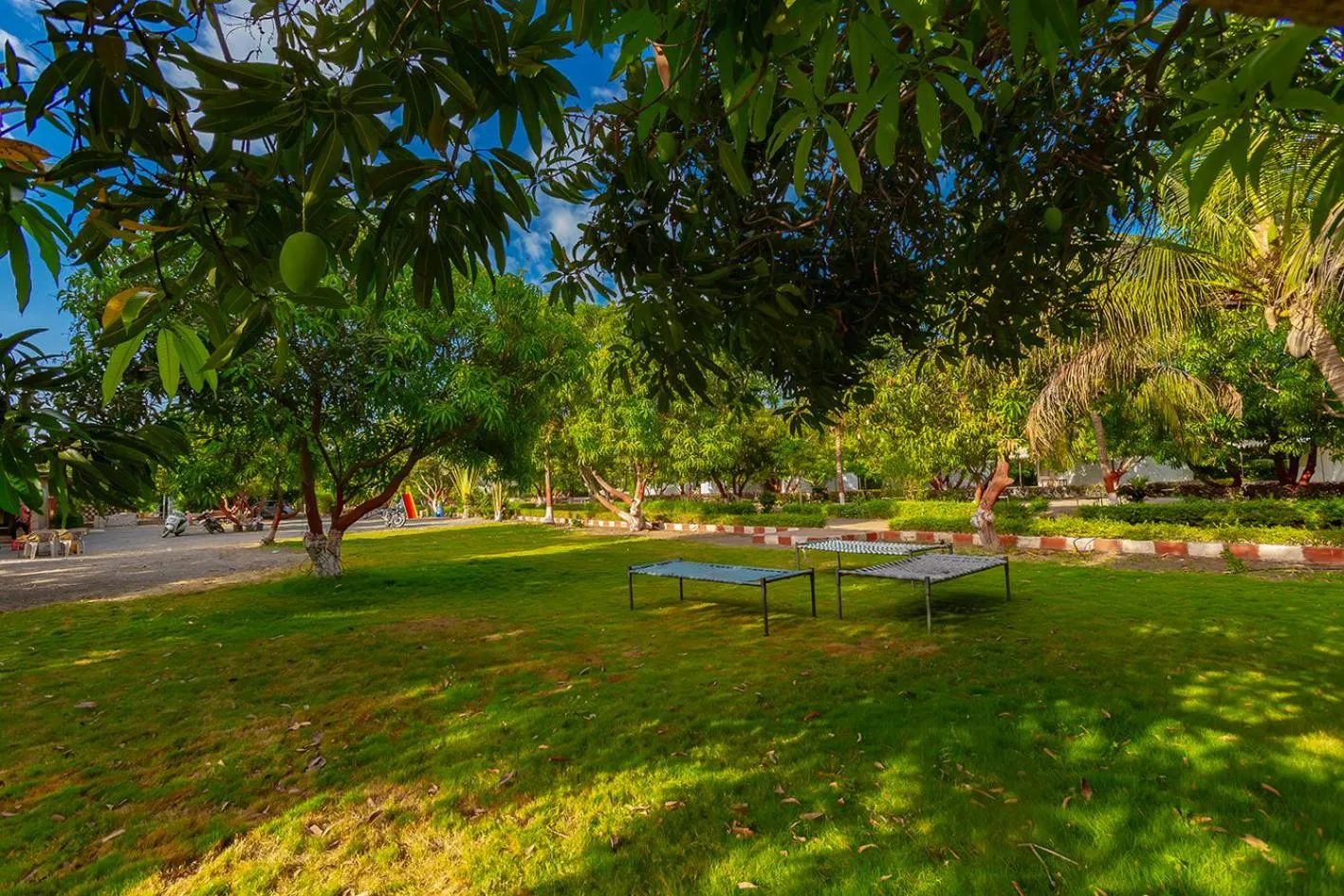 Spring in Amber Resort