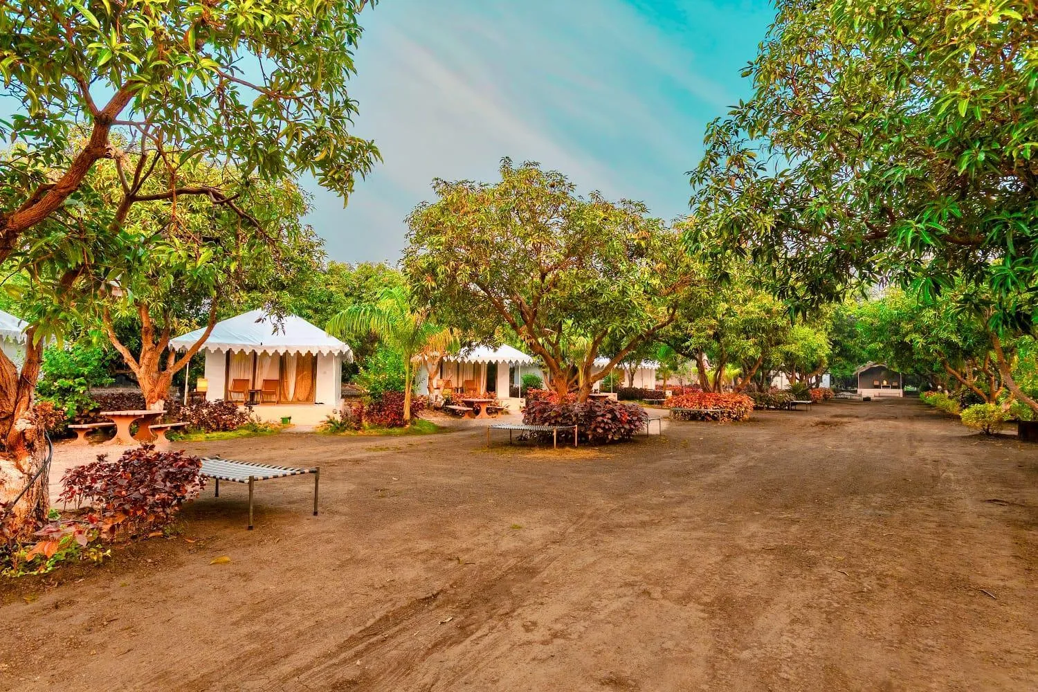 Garden in Amber Resort