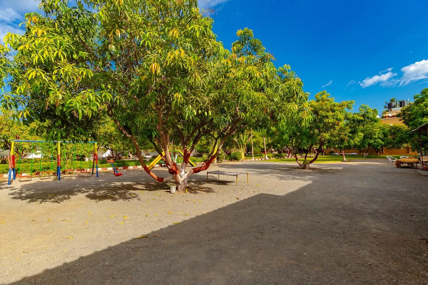 Natural landscape in Amber Resort
