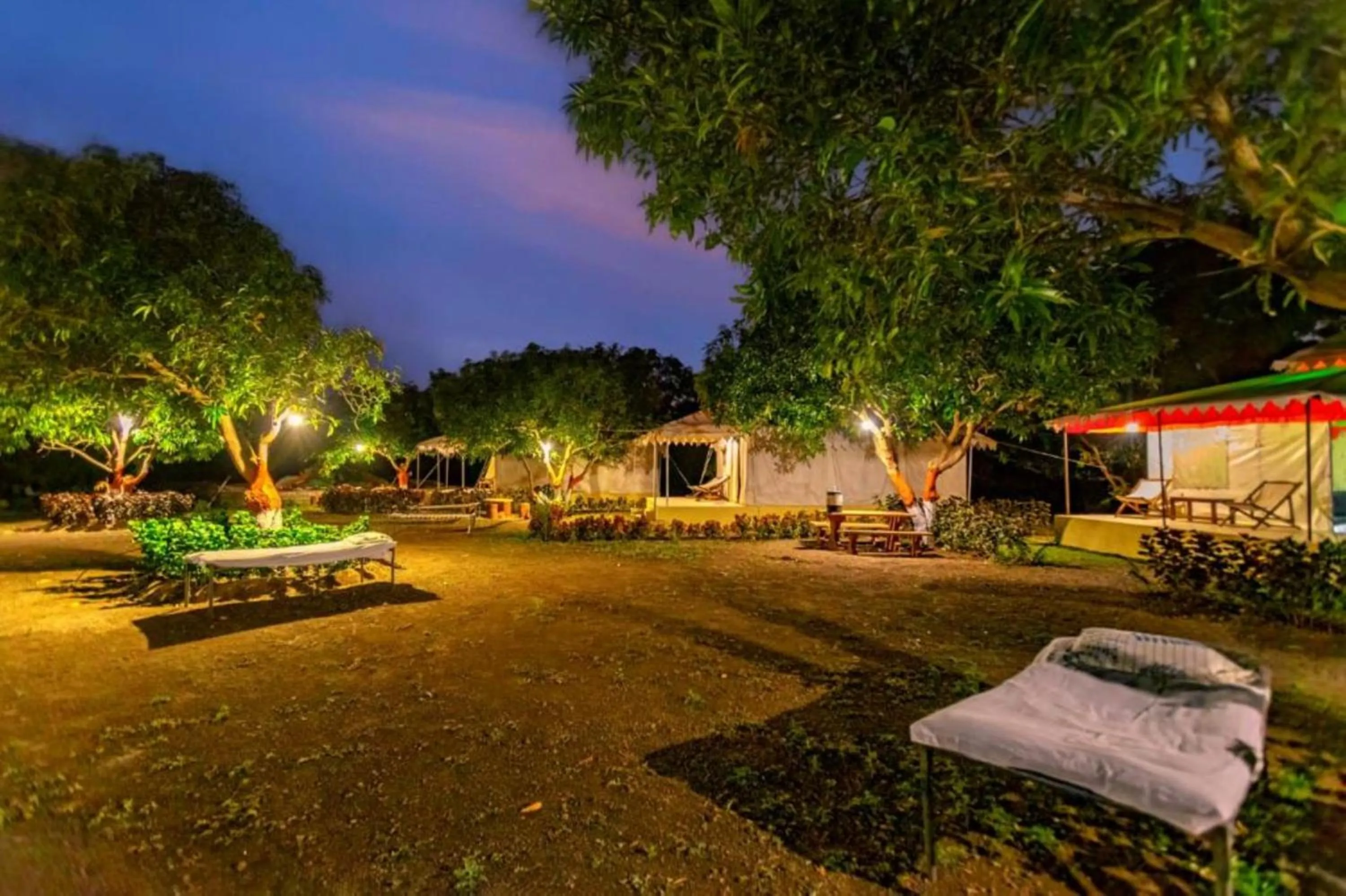 Natural landscape in Amber Resort