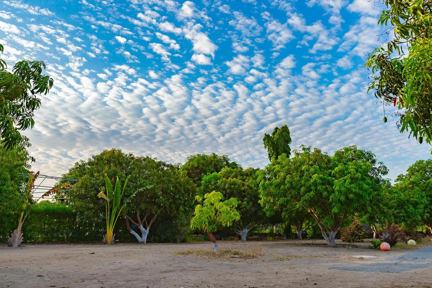 Spring in Amber Resort