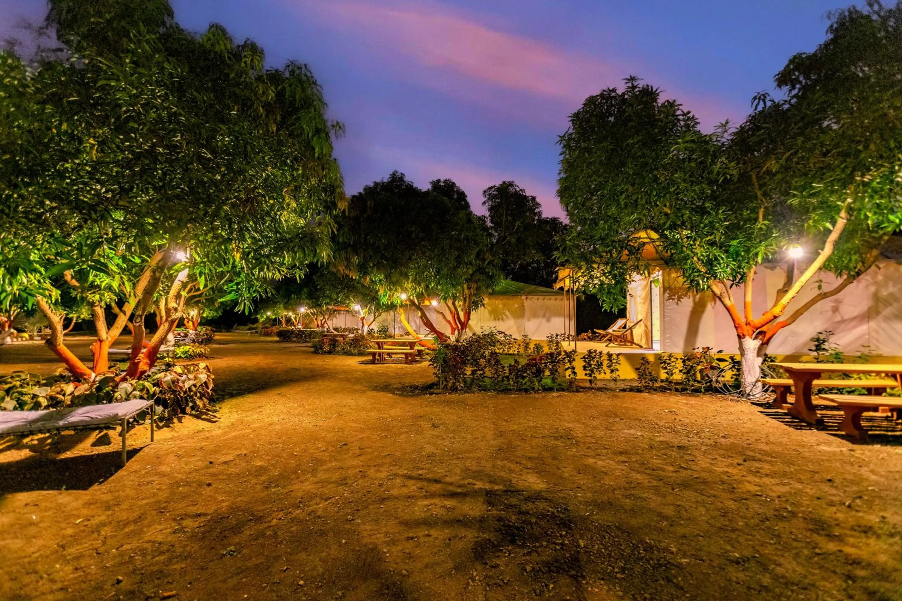 Spring in Amber Resort