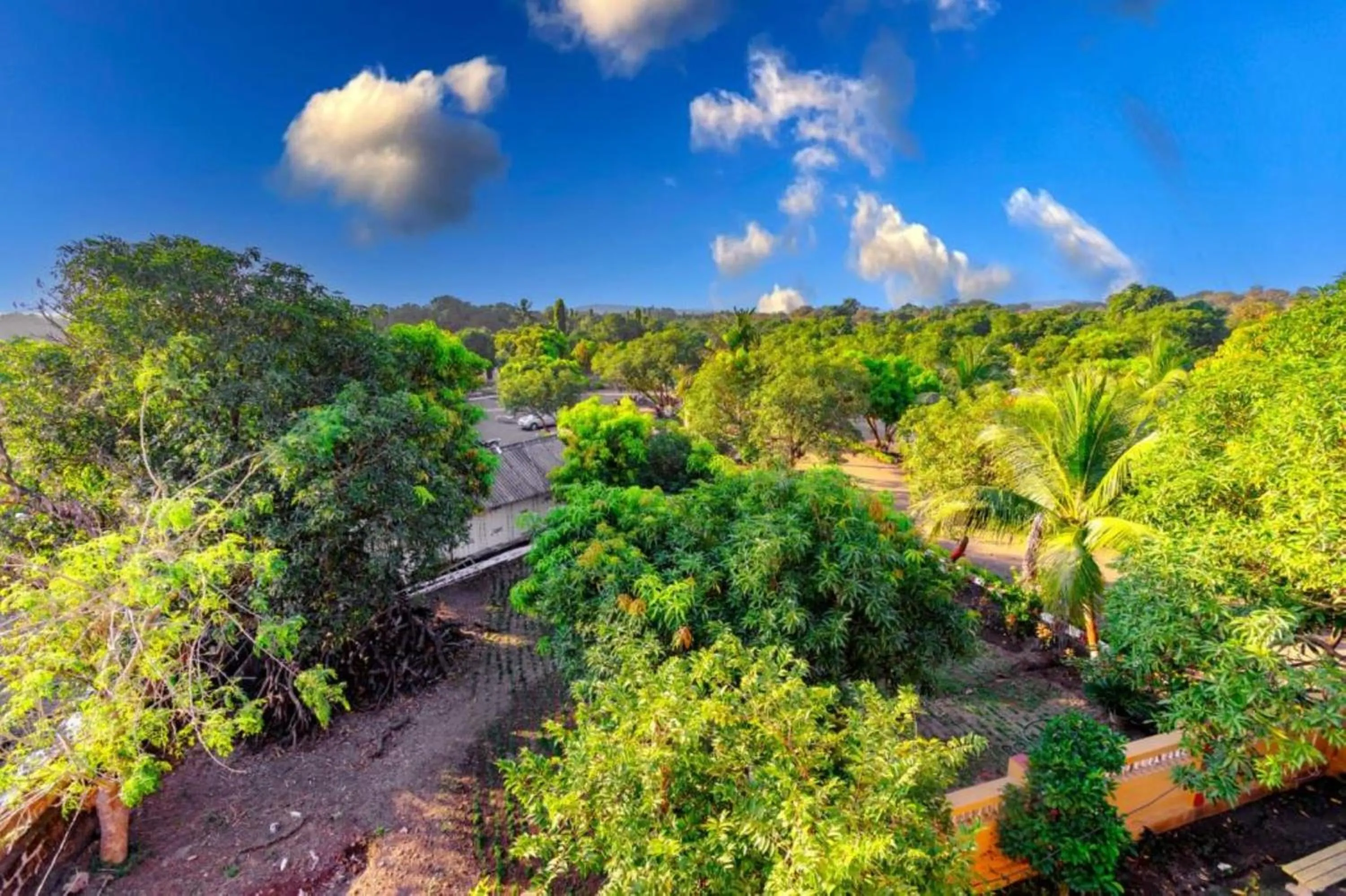 Spring in Amber Resort