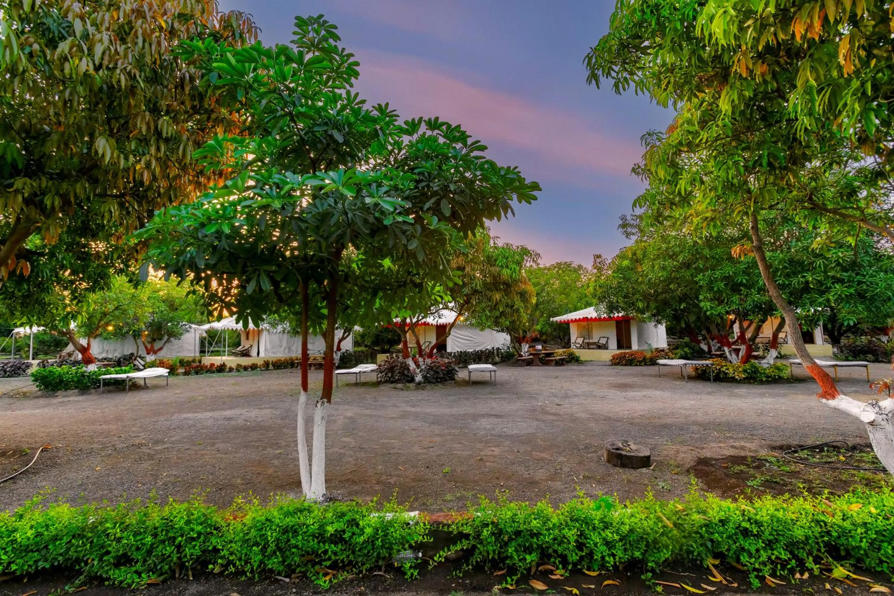 Spring in Amber Resort