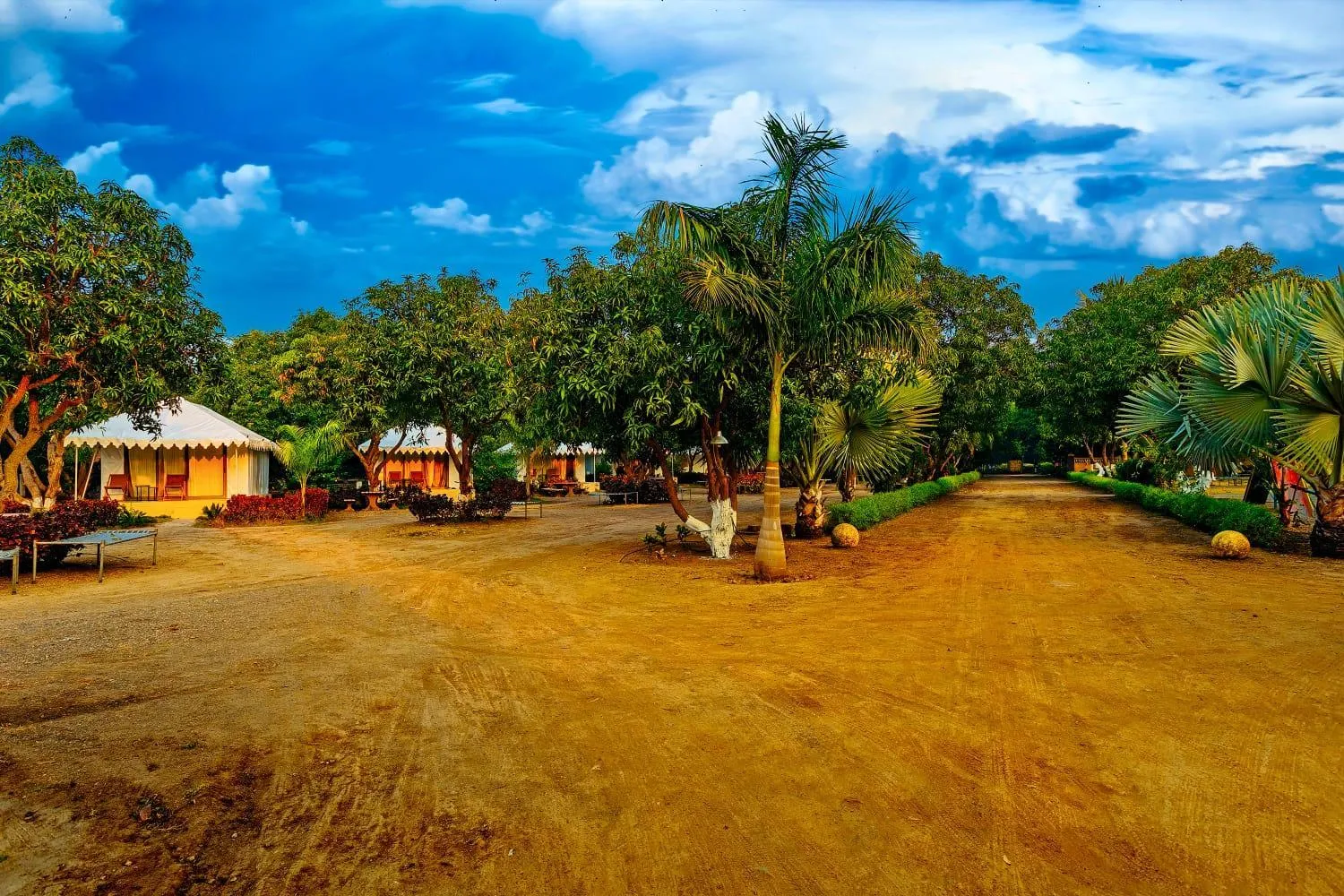 Natural landscape in Amber Resort