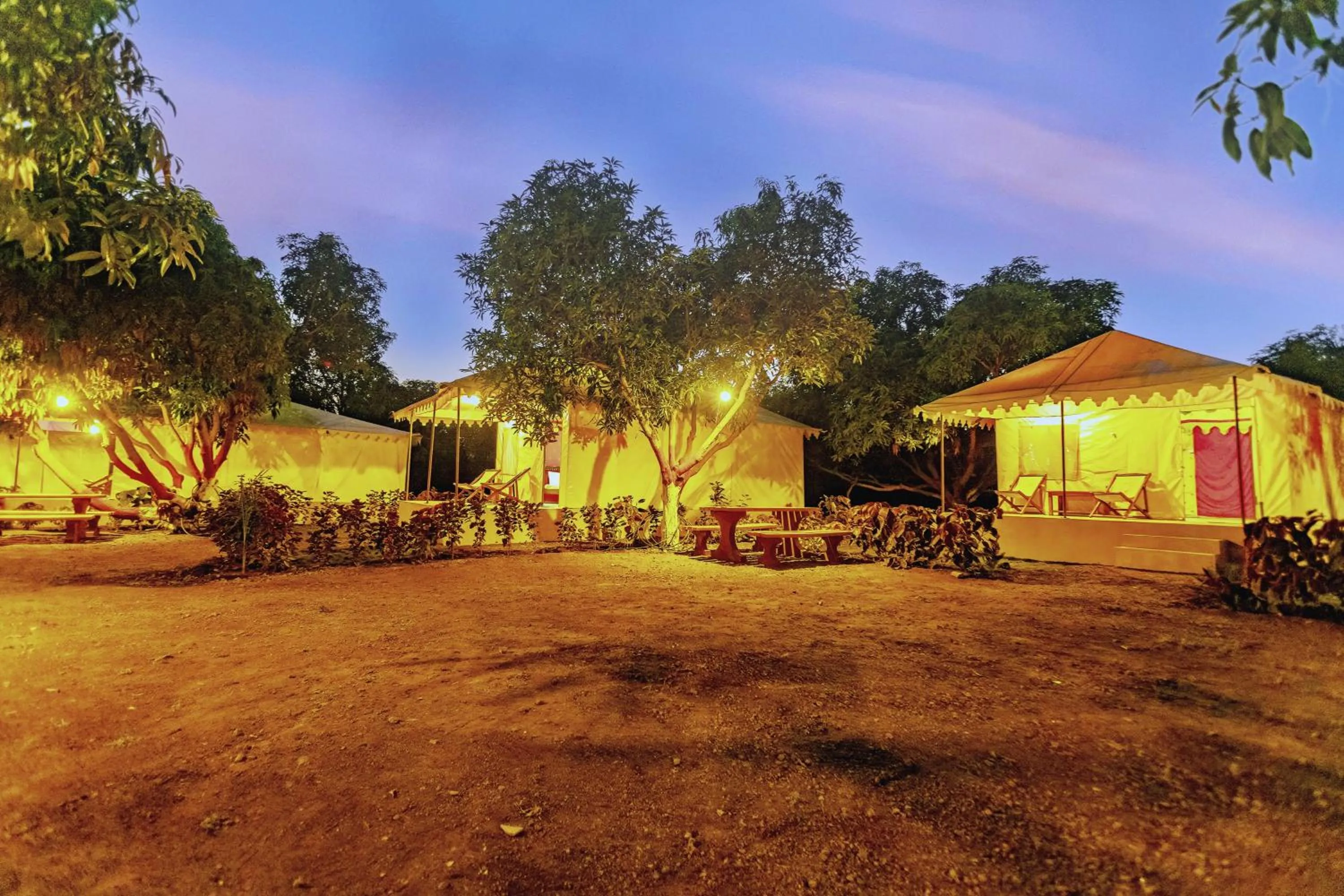 Night in Amber Resort