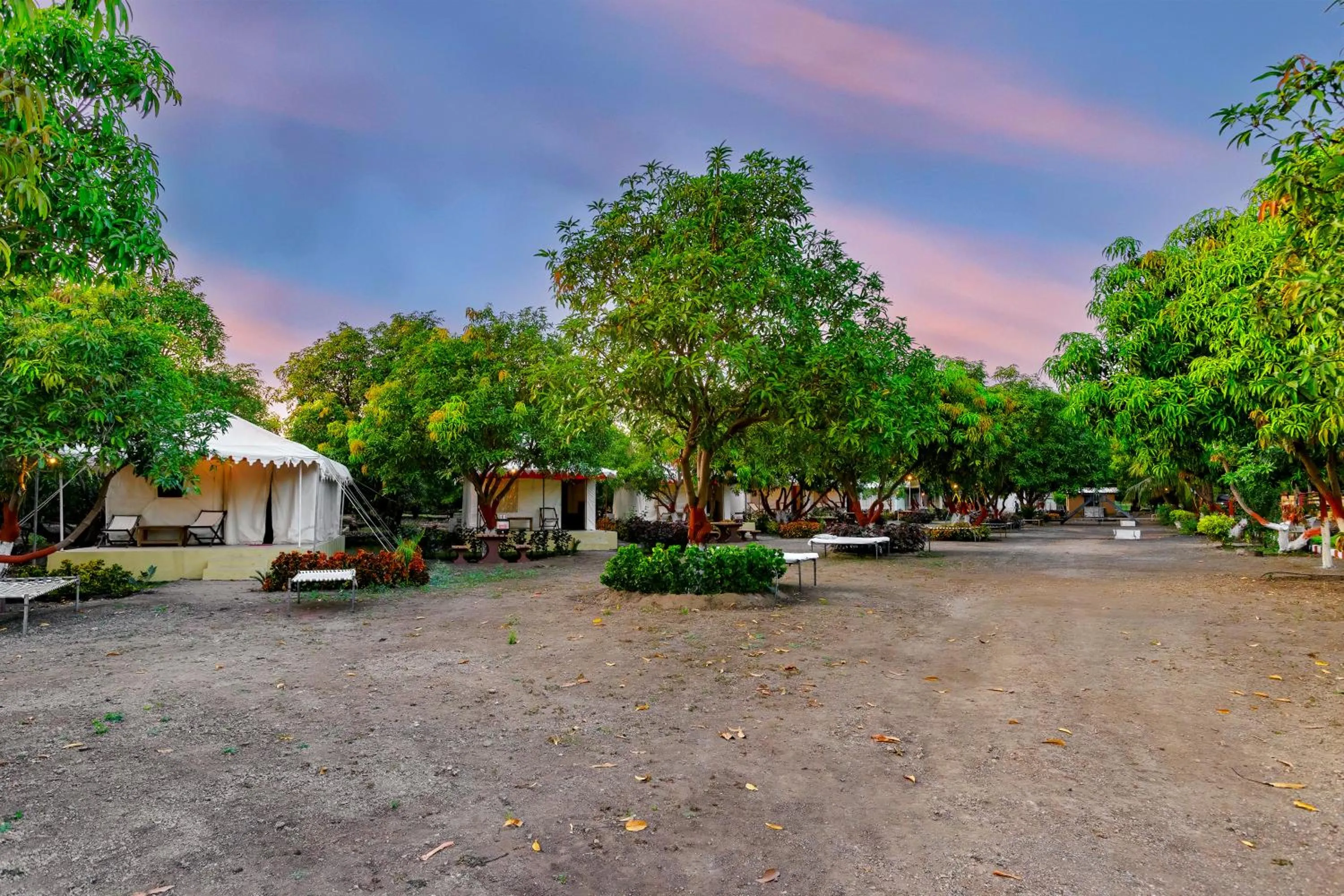 Garden in Amber Resort