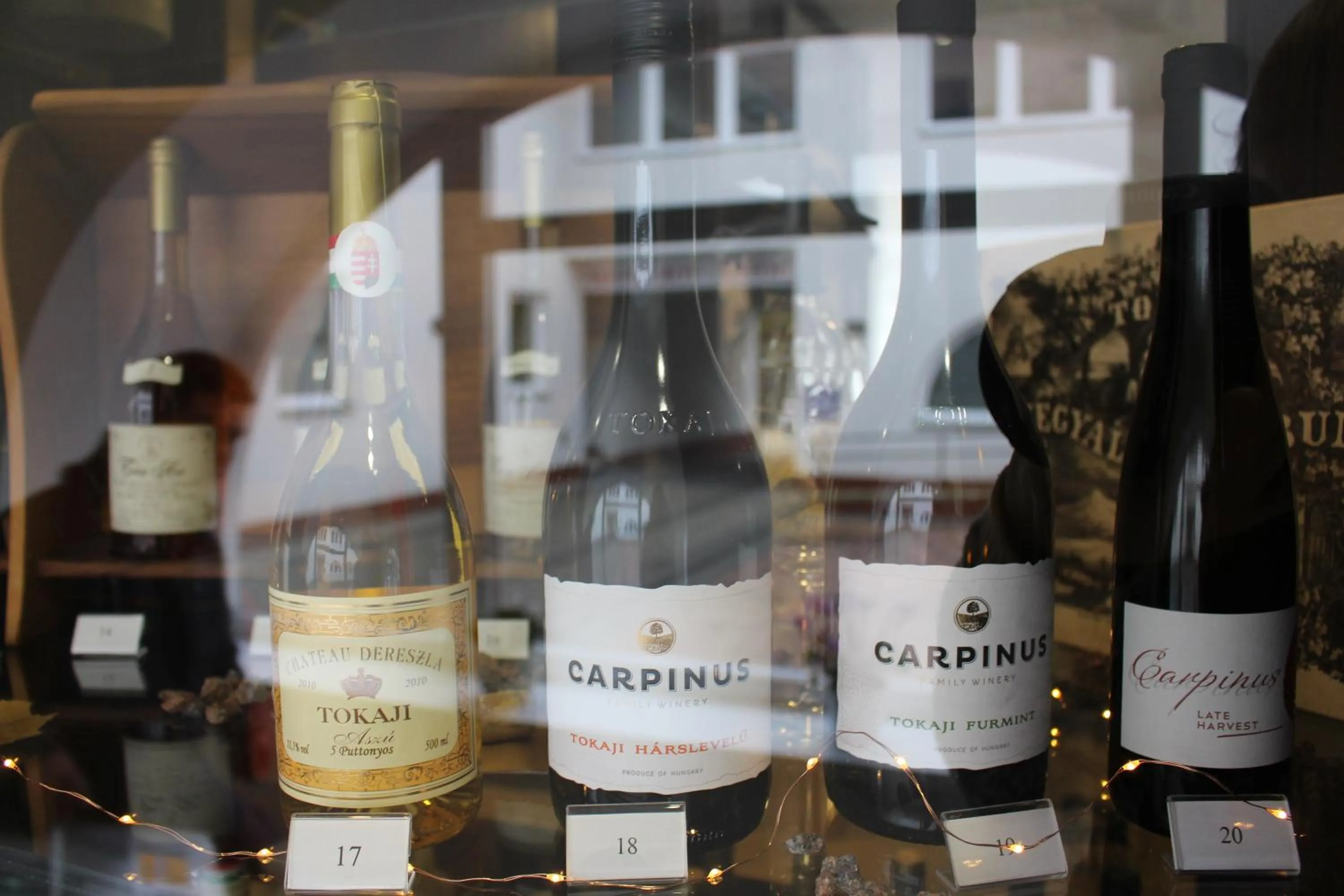 Area and facilities in Tokajvár Hotel