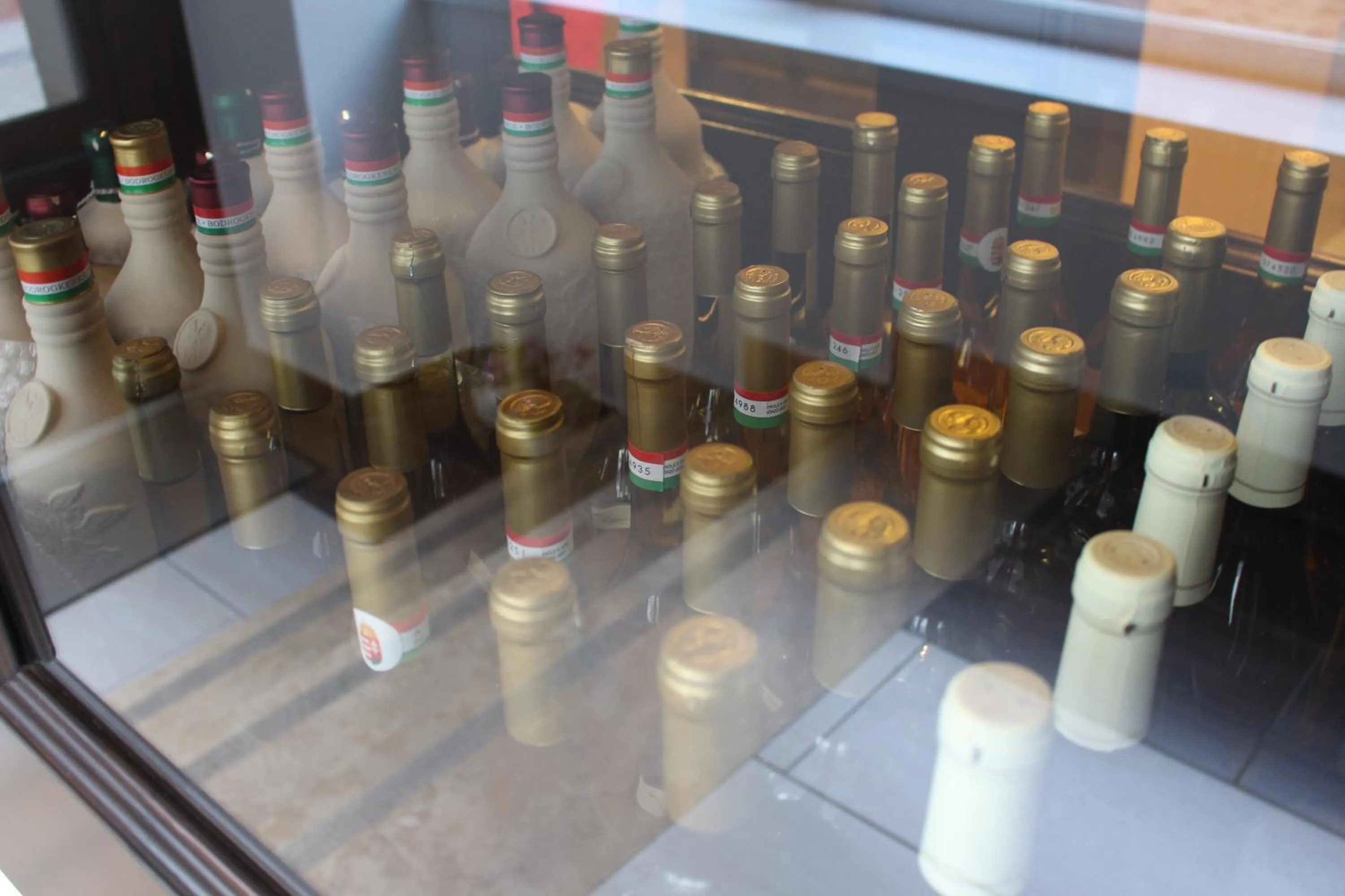 Area and facilities in Tokajvár Hotel