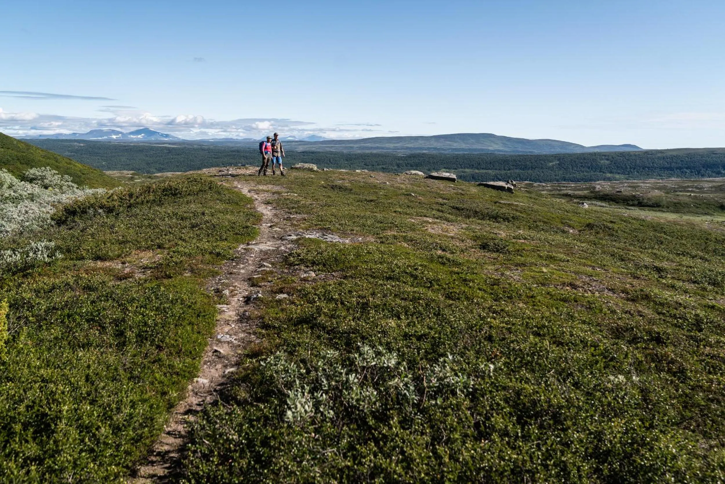 Natural landscape in Funäs Ski Lodge