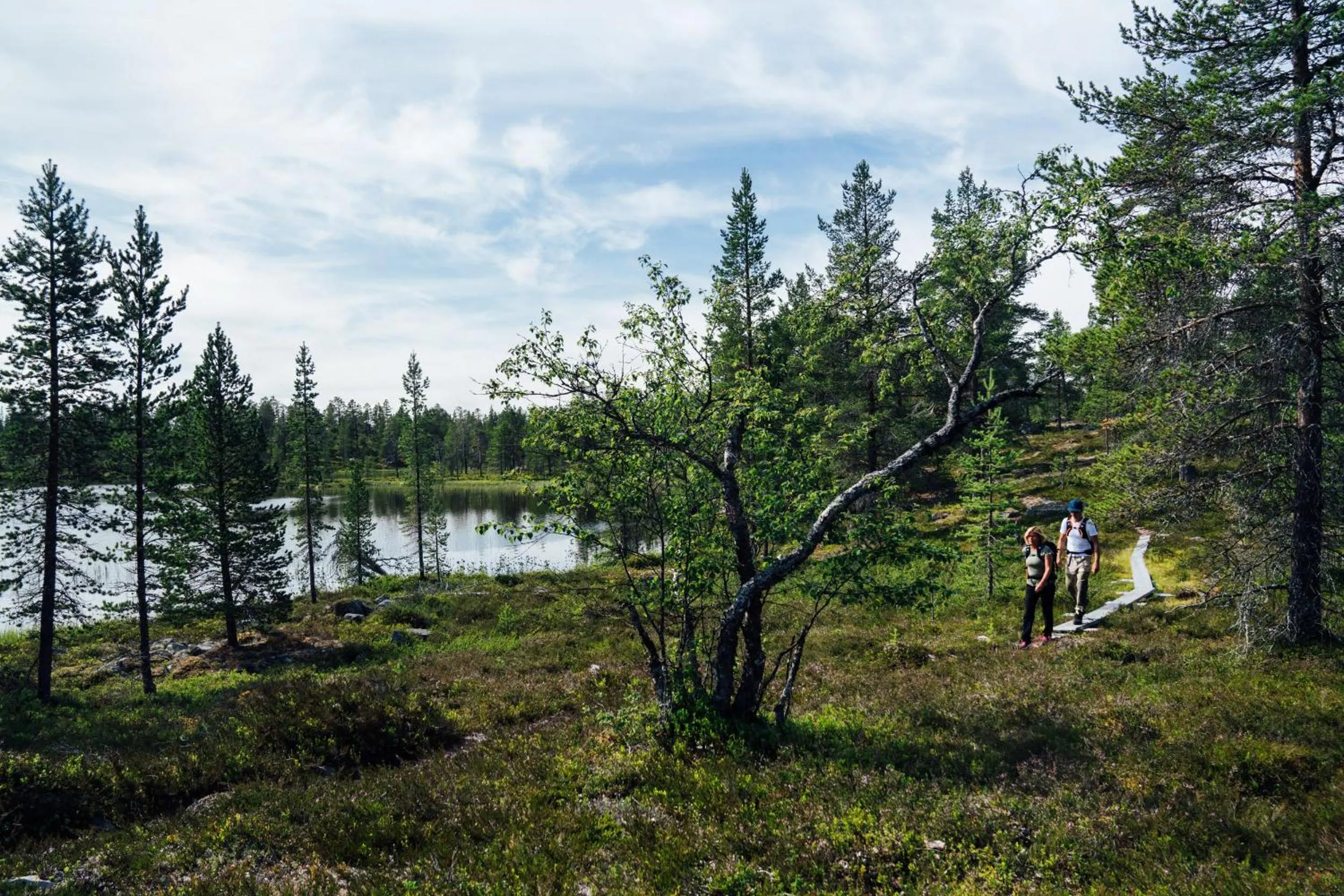 Natural landscape in Funäs Ski Lodge