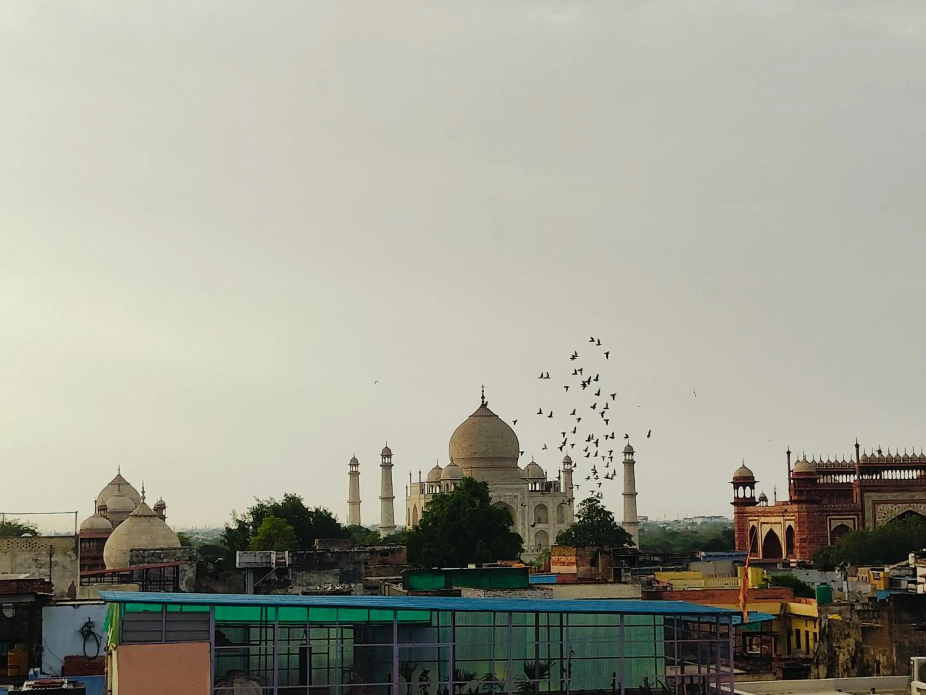 The Vacation Villa Agra A Boutique Hotel Near Taj Mahal The Vacation Villa Agra A Boutique Hotel Near Taj Mahal