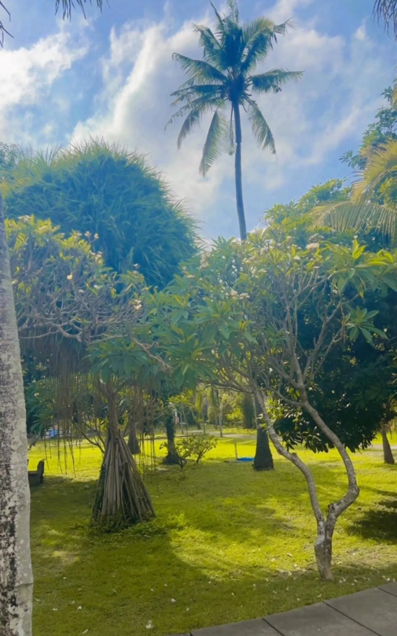 New Mekar Jaya Hotel