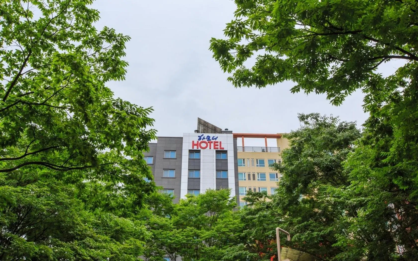 Property building in Harmony Hotel