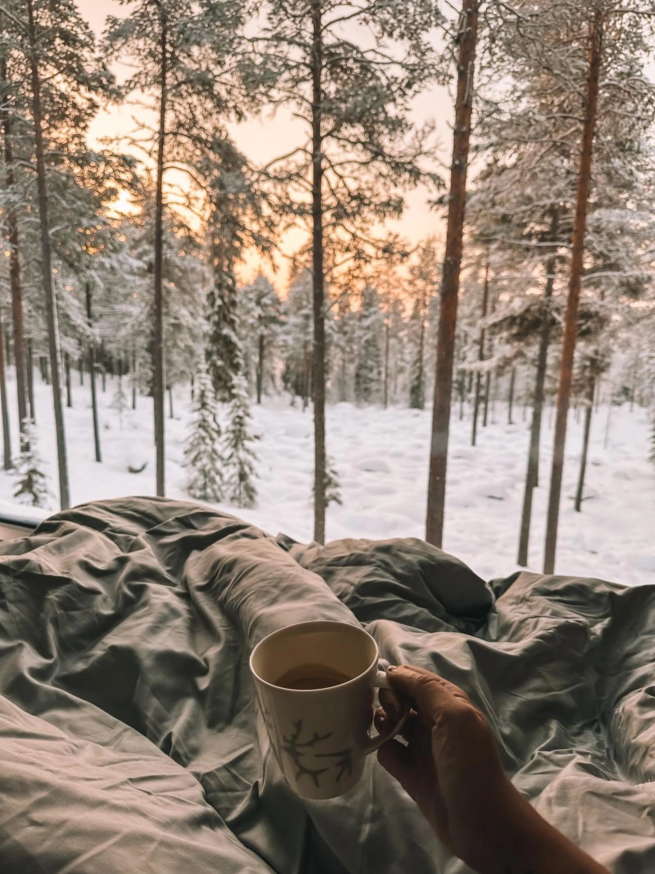 Day in Adults Only Invisible Forest Lodge & SPA