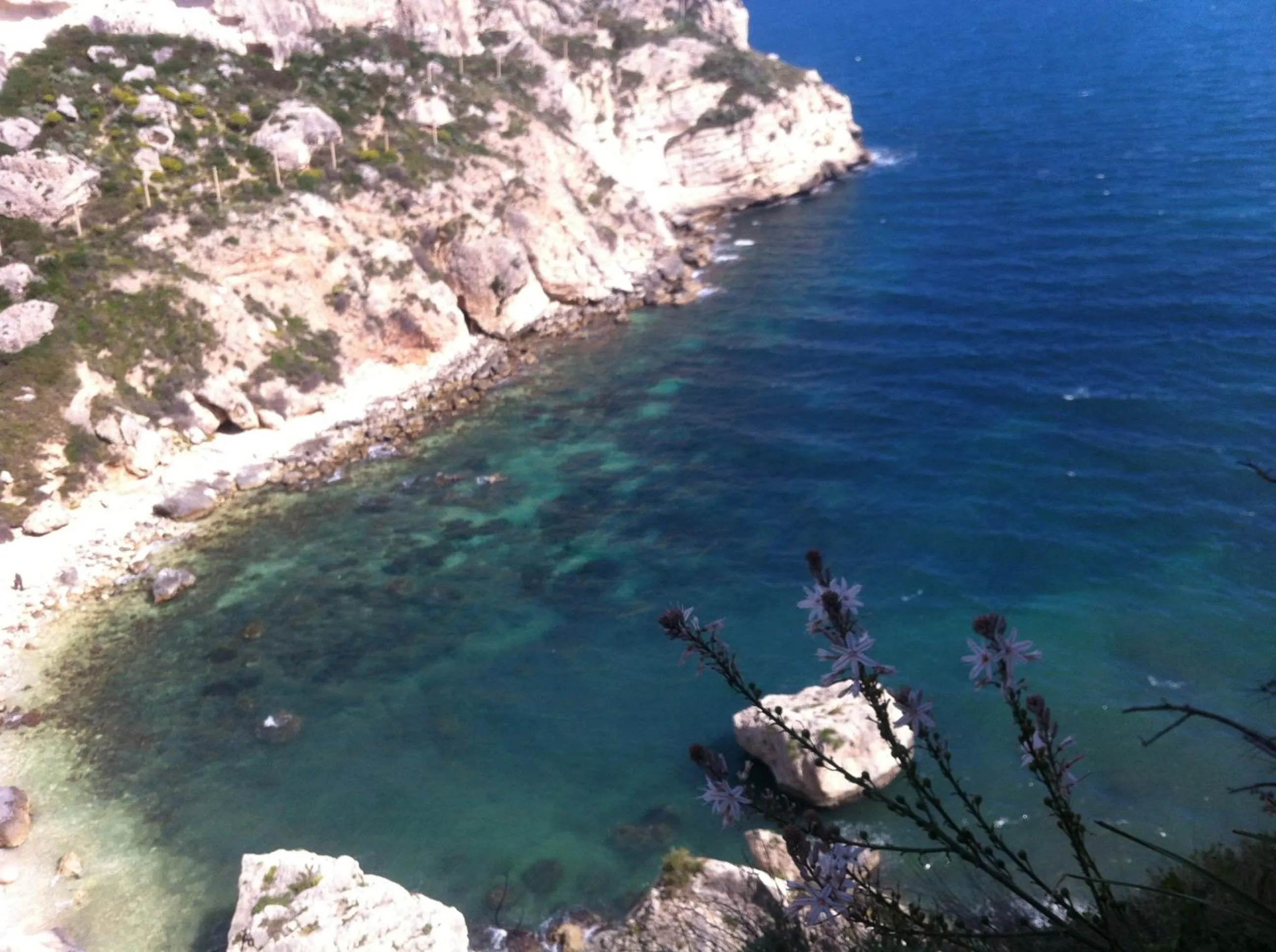 Natural landscape in B&B Majestade