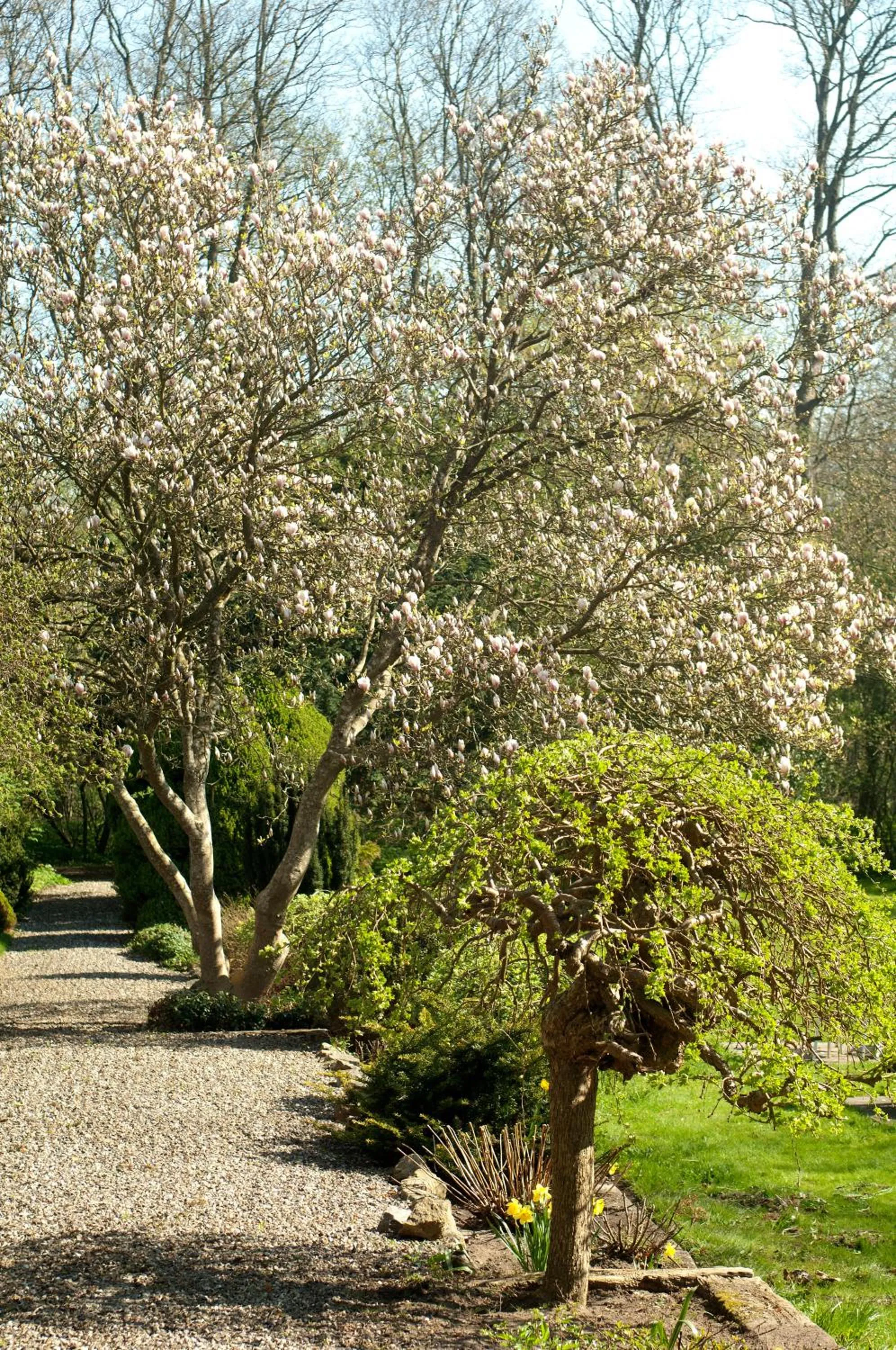 Garden in Purhus Kro