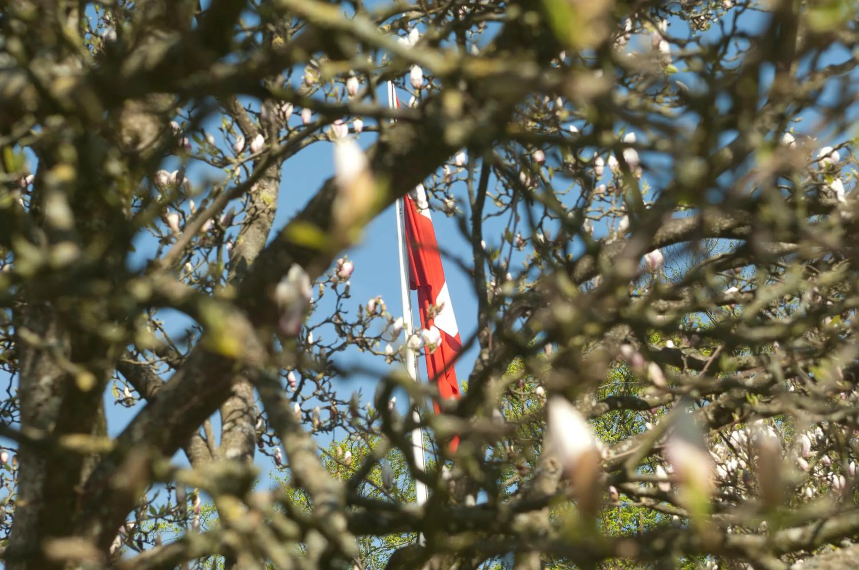 Area and facilities in Purhus Kro