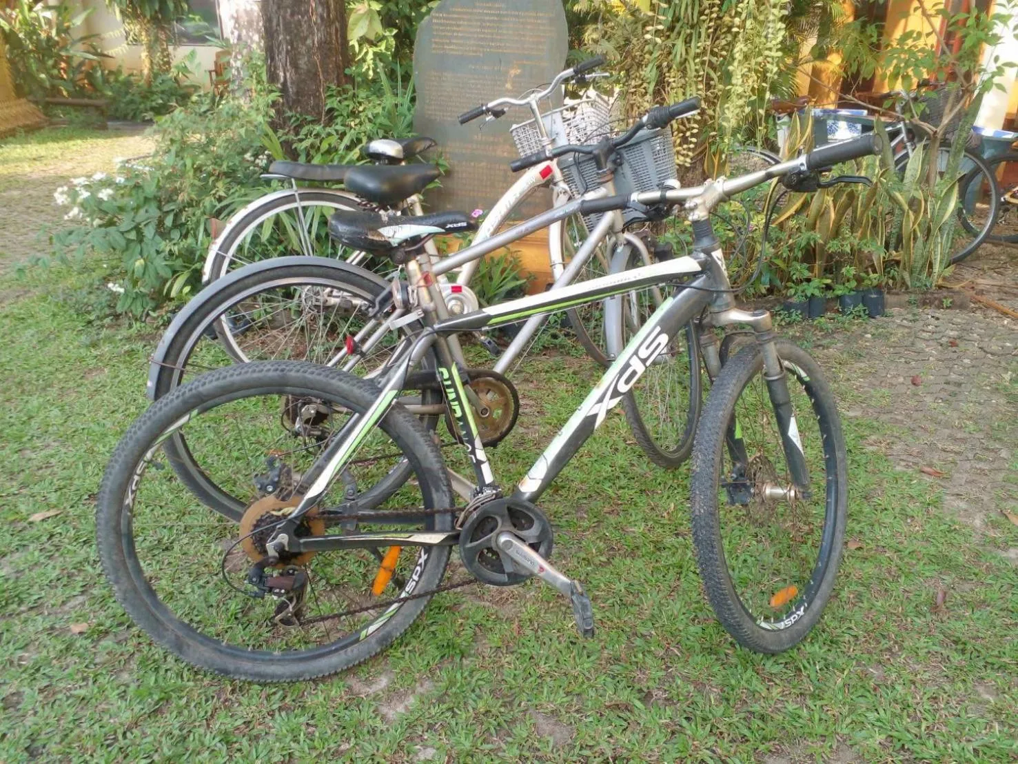 Property building in Golden Triangle Palace Hotel