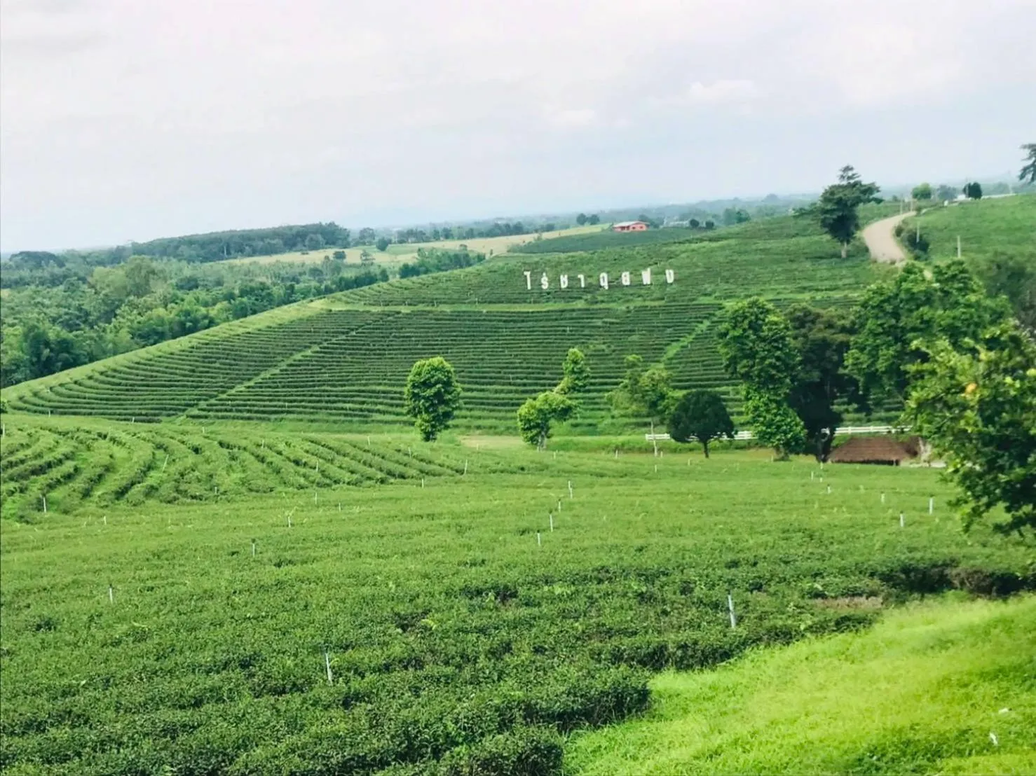 Property building in Golden Triangle Palace Hotel