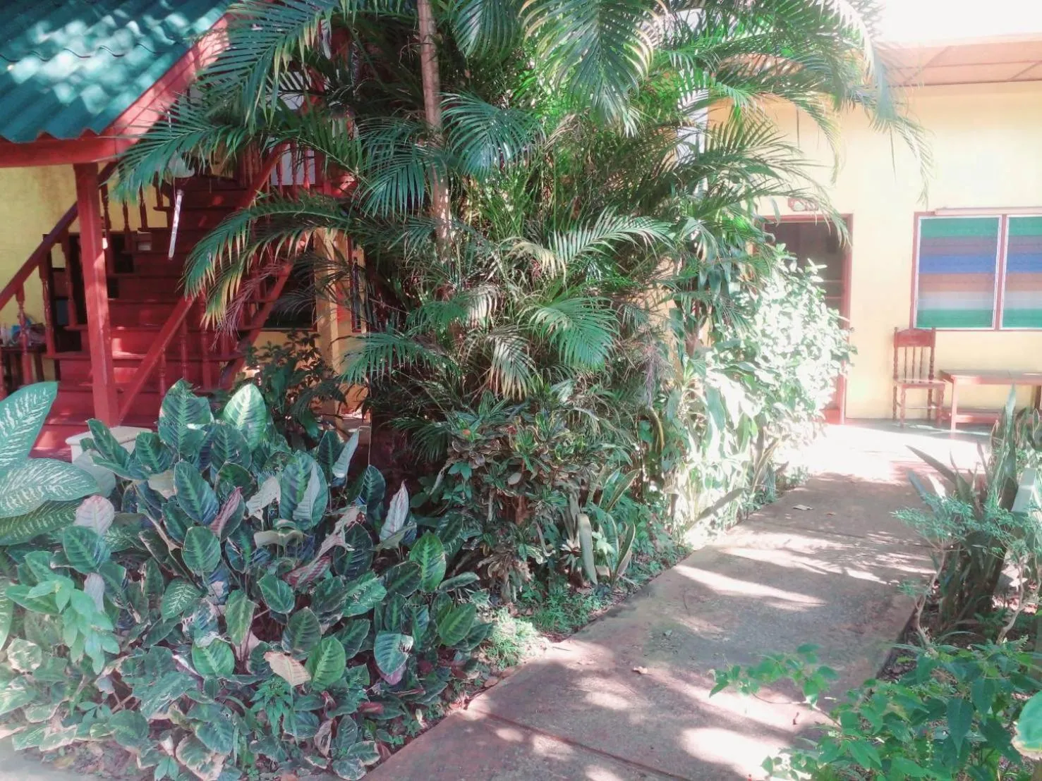Garden in Golden Triangle Palace Hotel