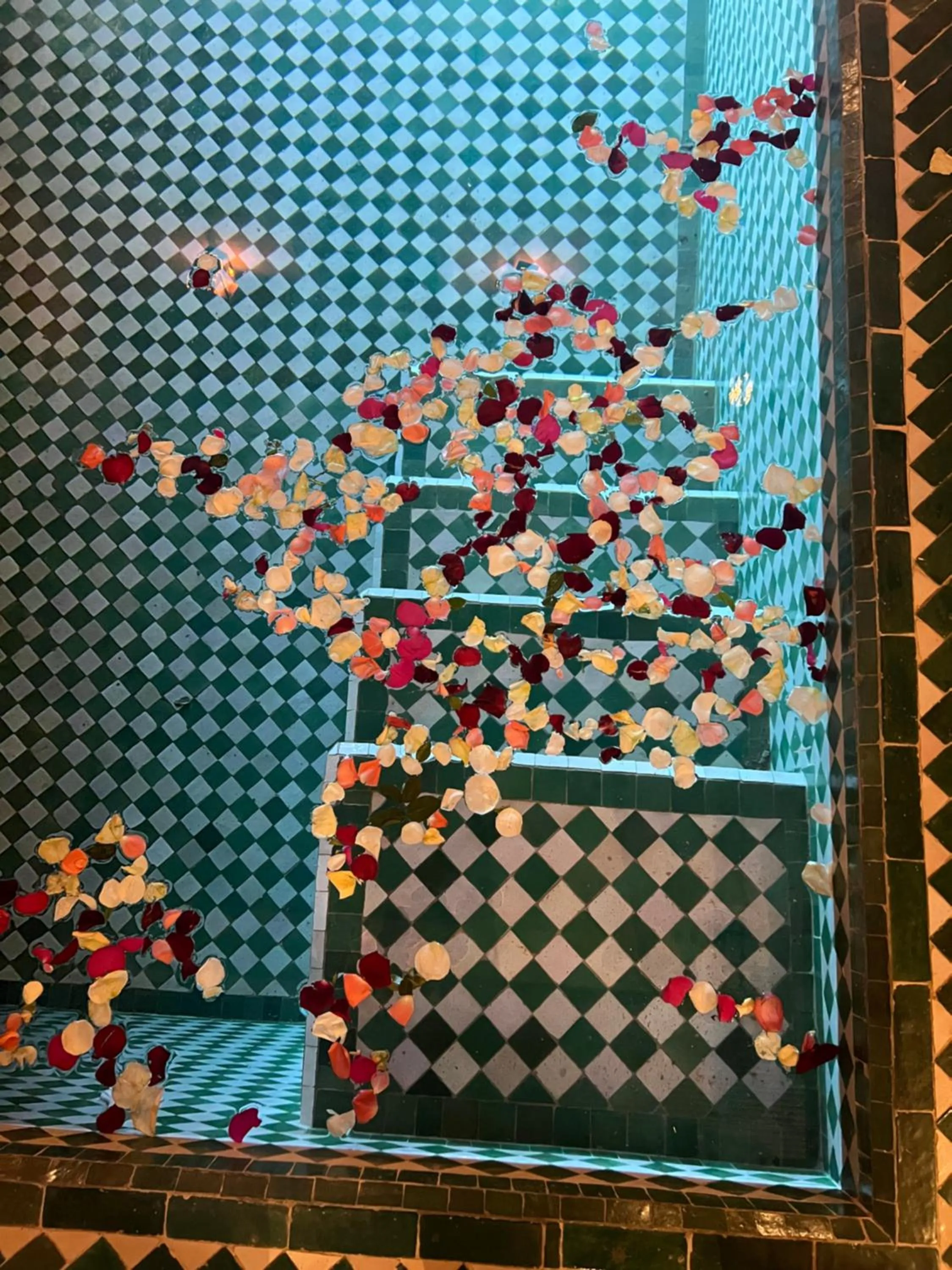 Swimming pool in Riad Darchica