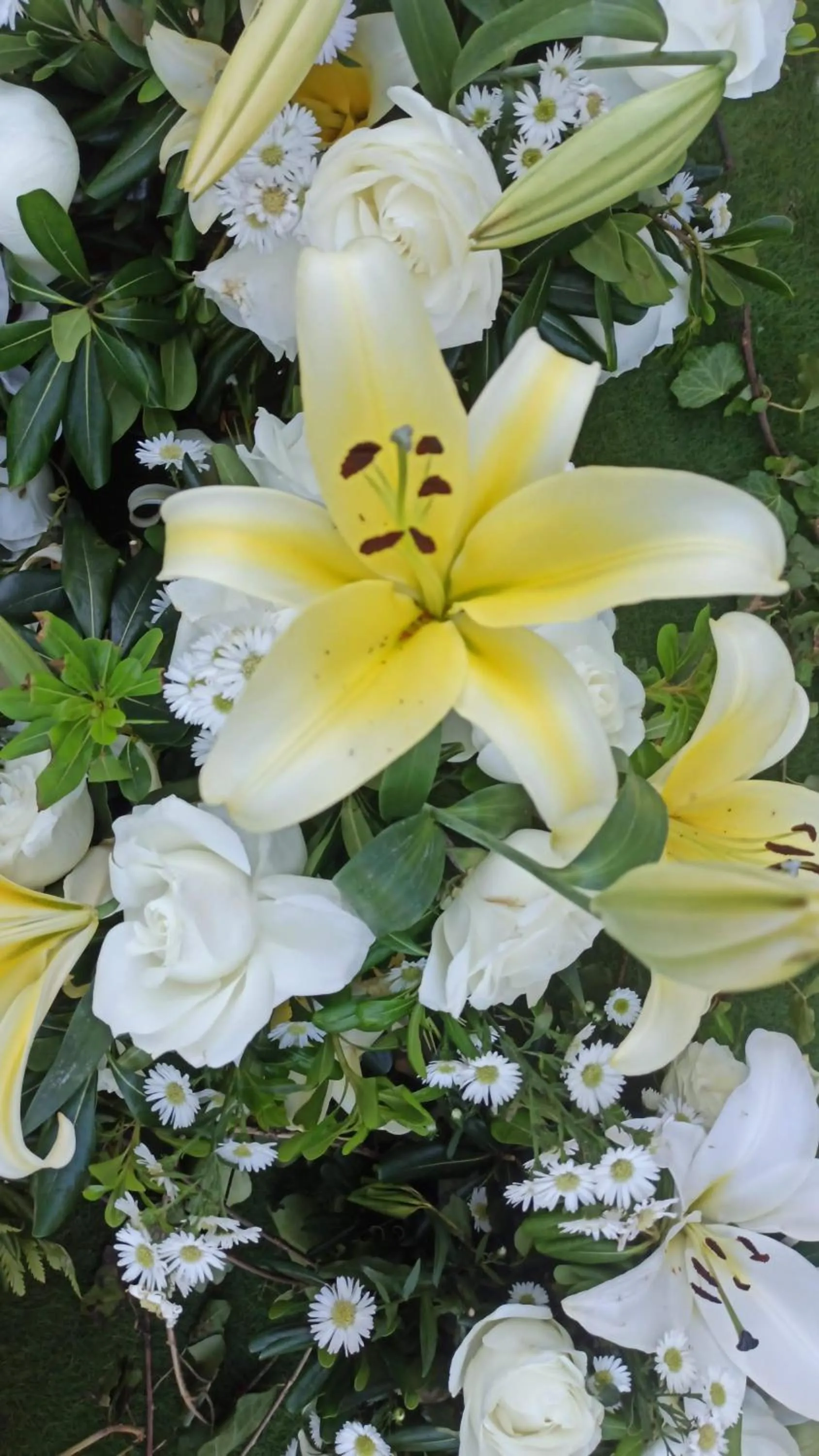 QUINTA DIAMANTE villas&hotel