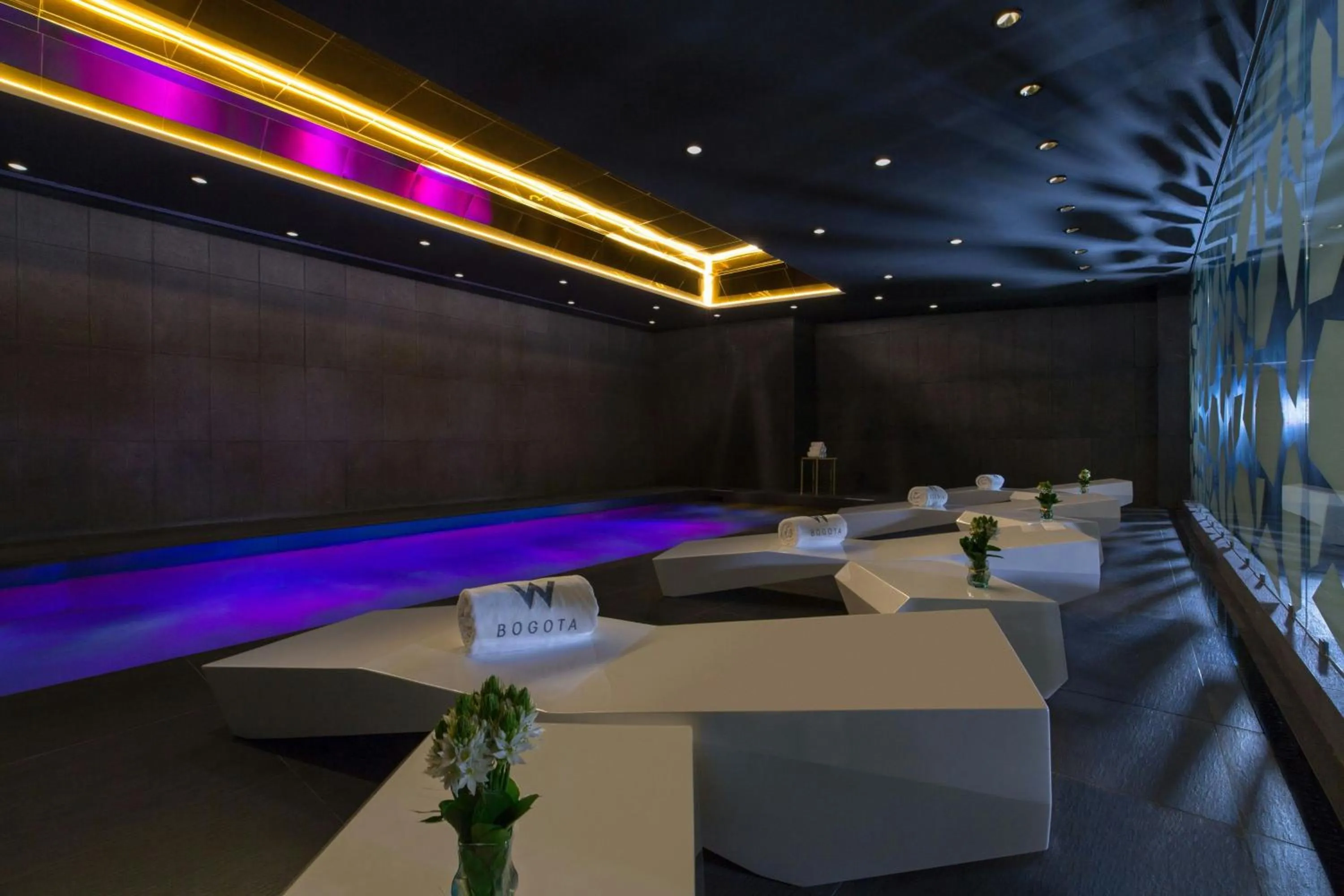 Swimming pool in W Bogota