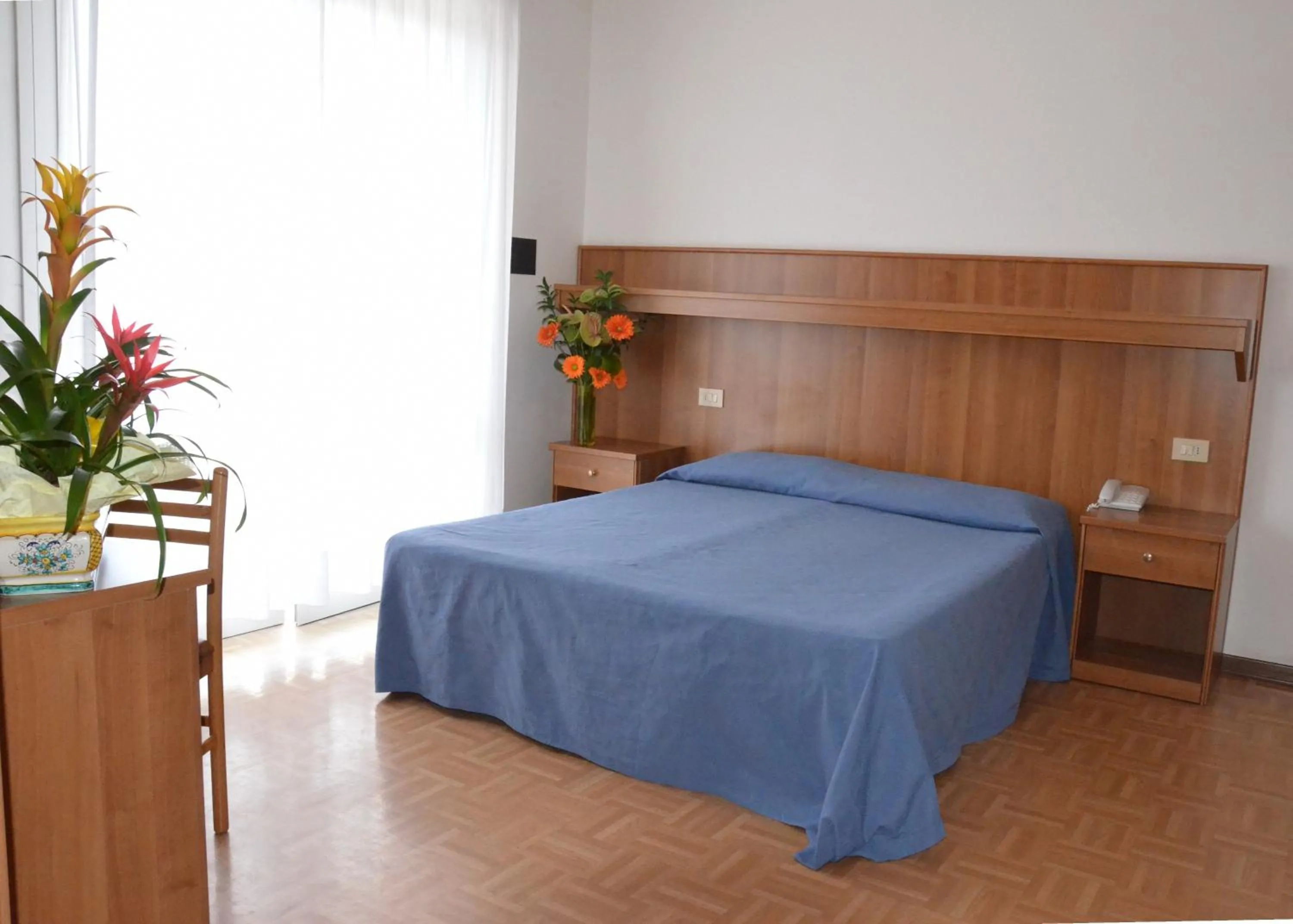 Photo of the whole room in Hotel Aspe