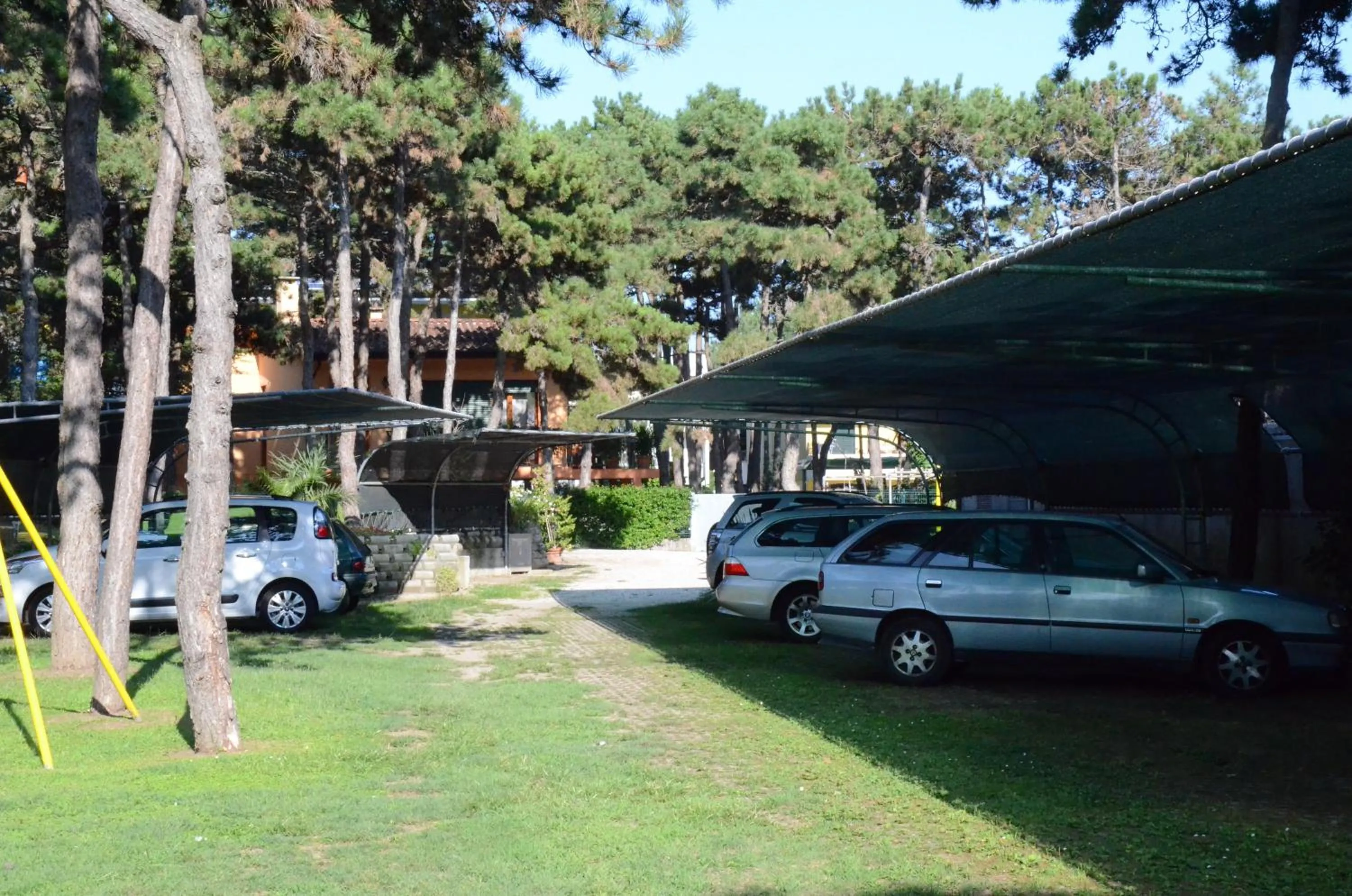 Area and facilities in Hotel Aspe