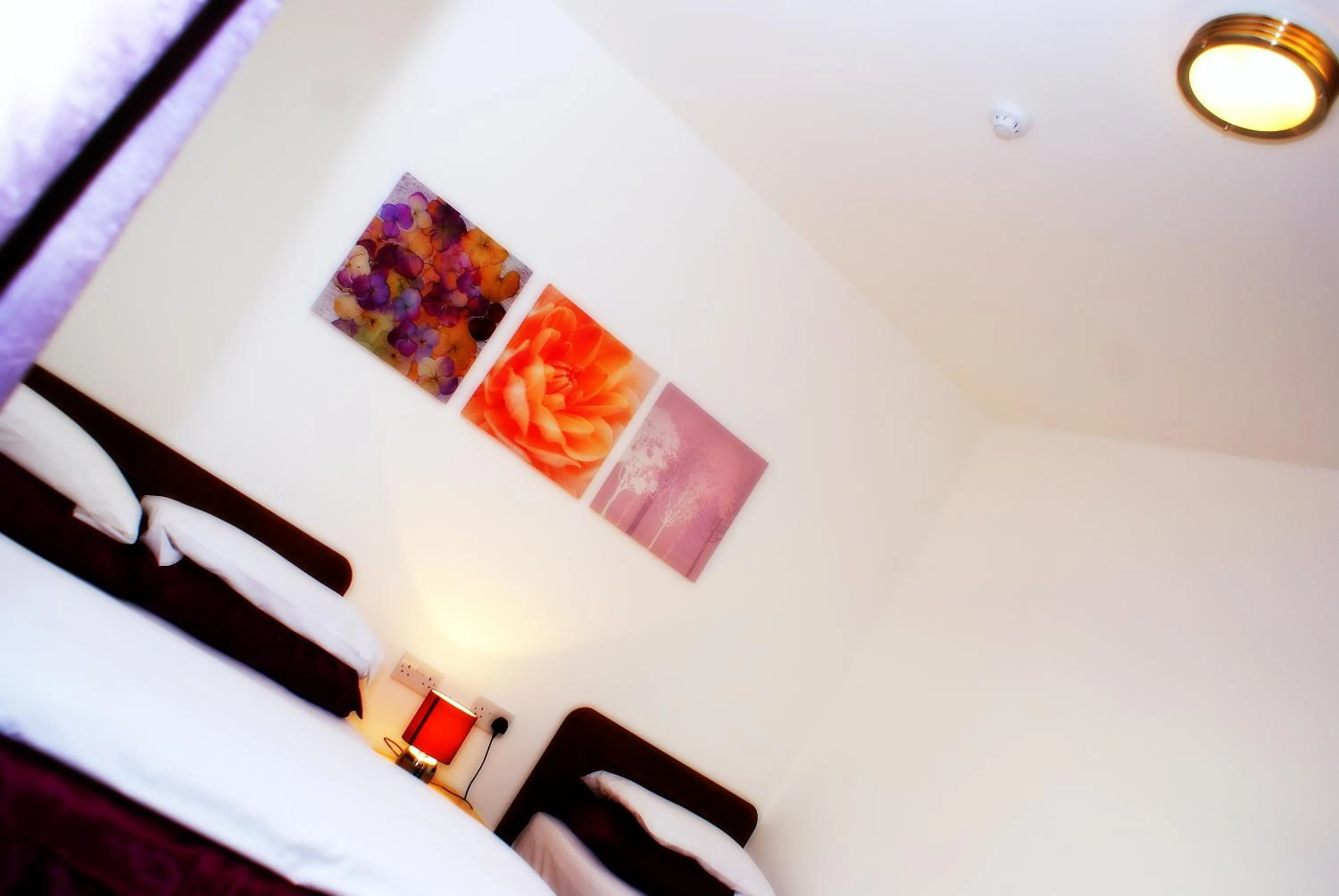 Decorative detail, Bed in The Hindes Hotel