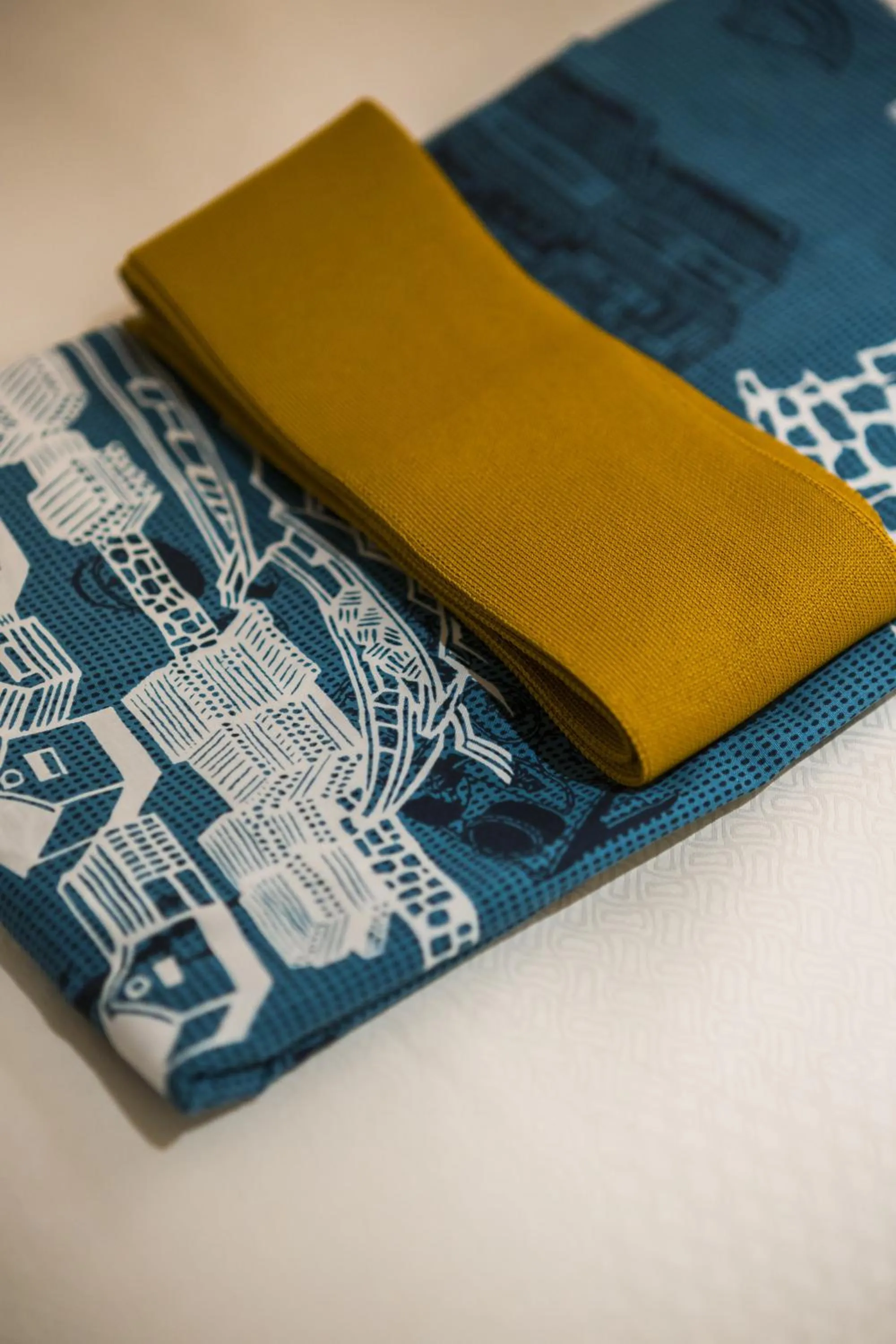 Other in Hotel Ryumeikan Ochanomizu Honten