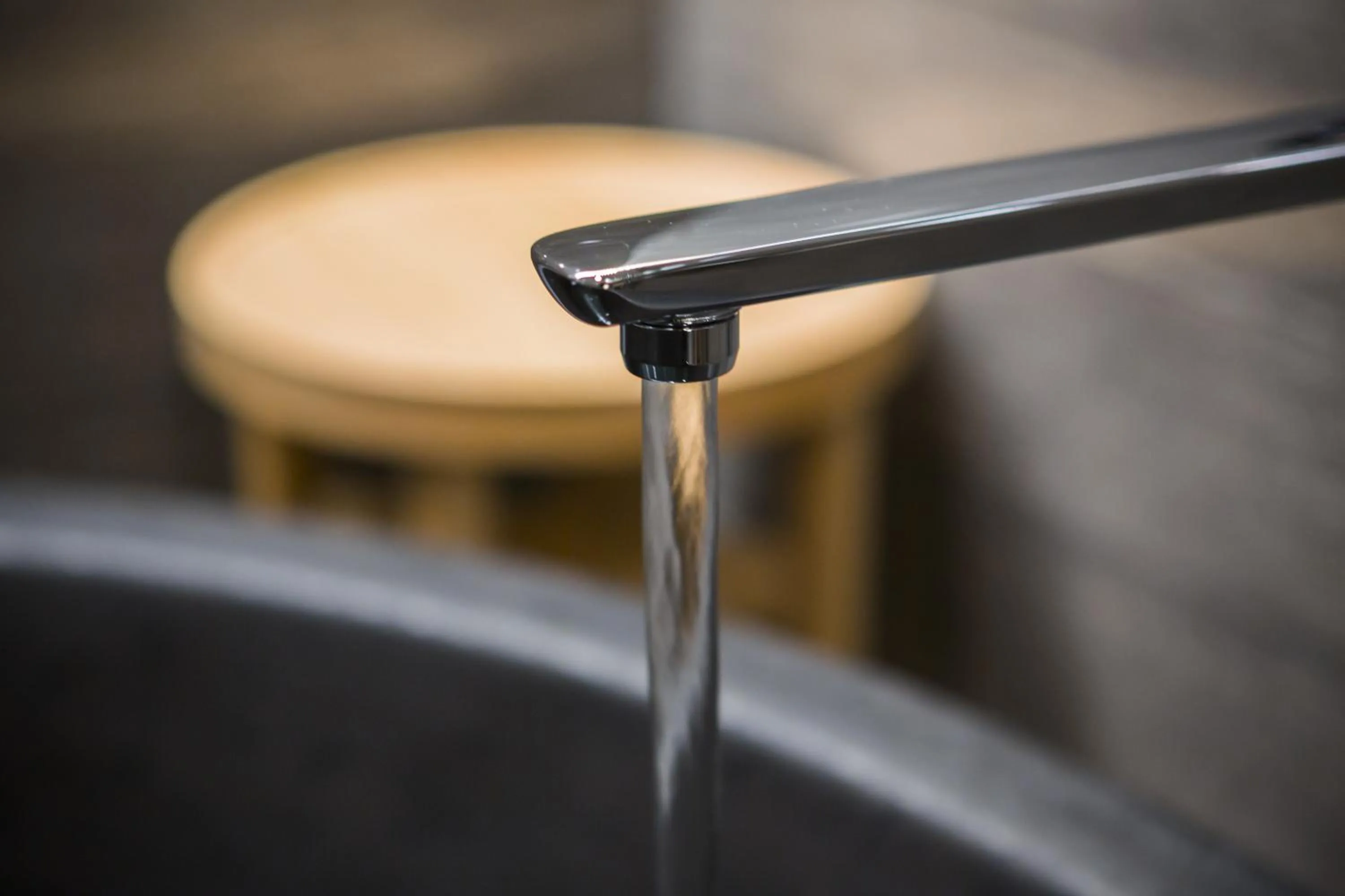 Hotel Ryumeikan Ochanomizu Honten