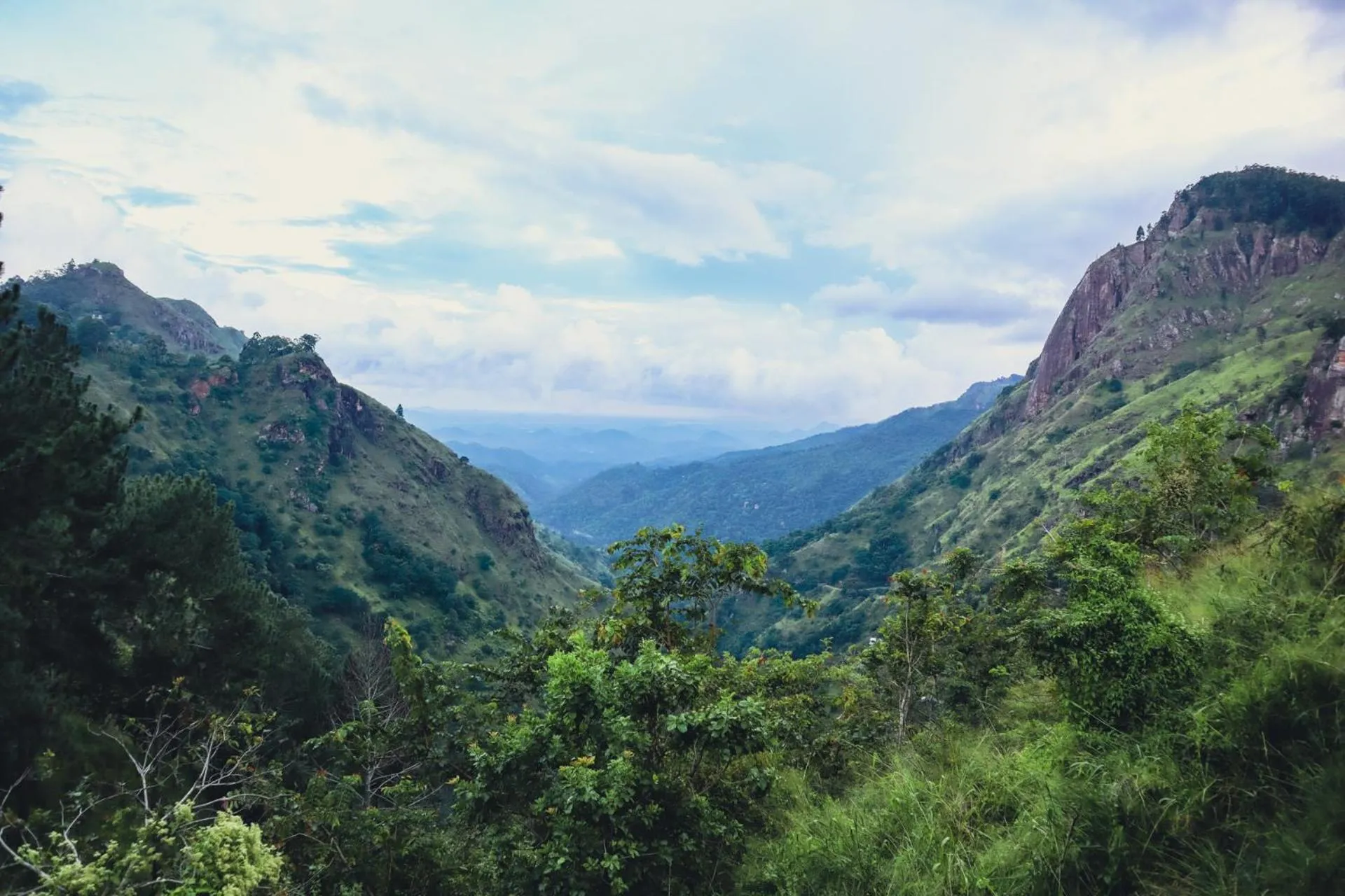 View (from property/room) in Green Hill