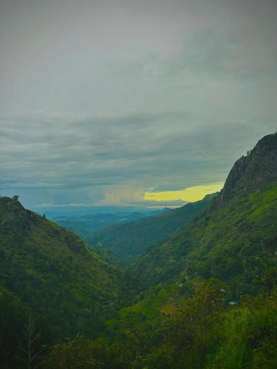 Property building in Green Hill