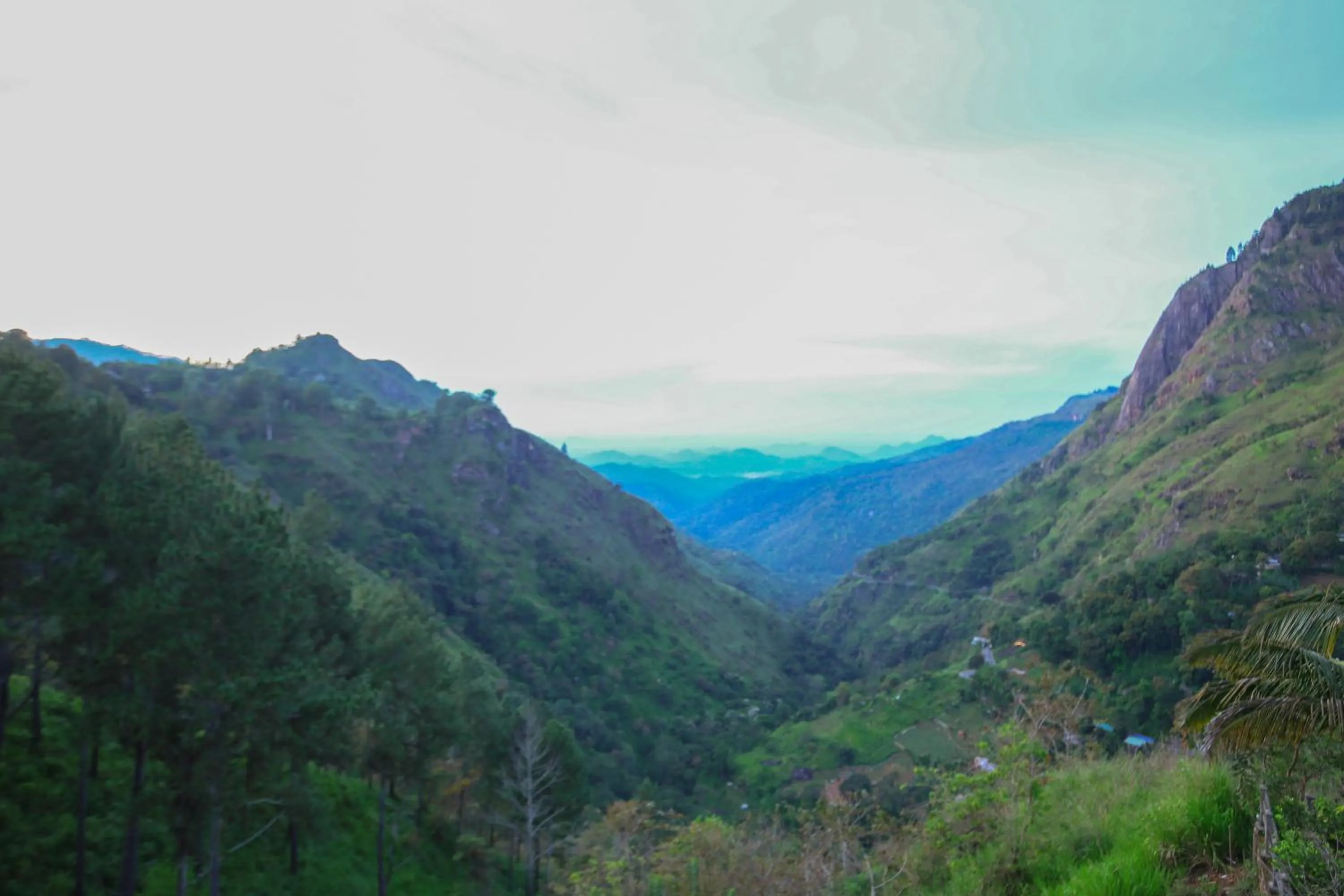 Location in Green Hill