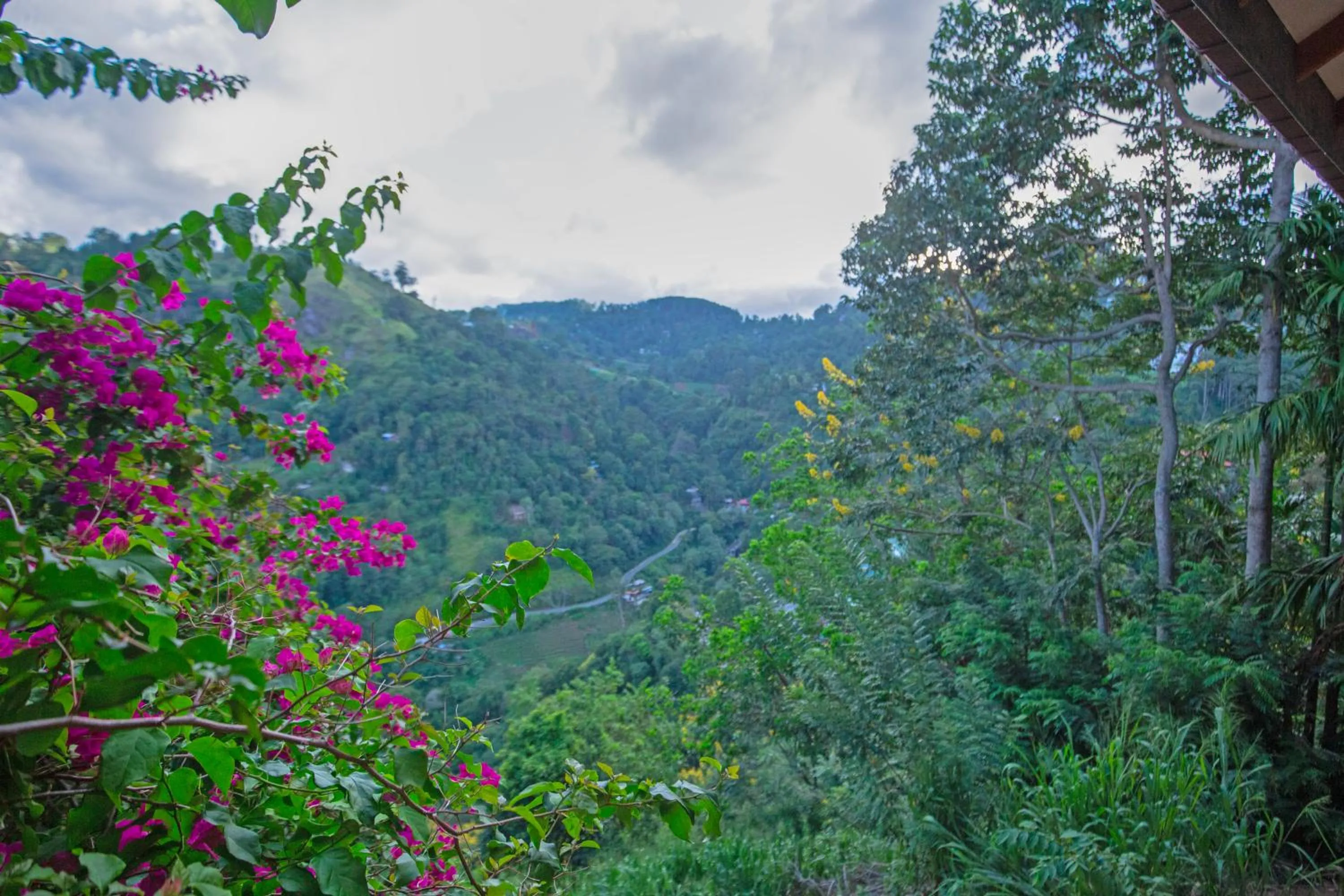 Location in Green Hill