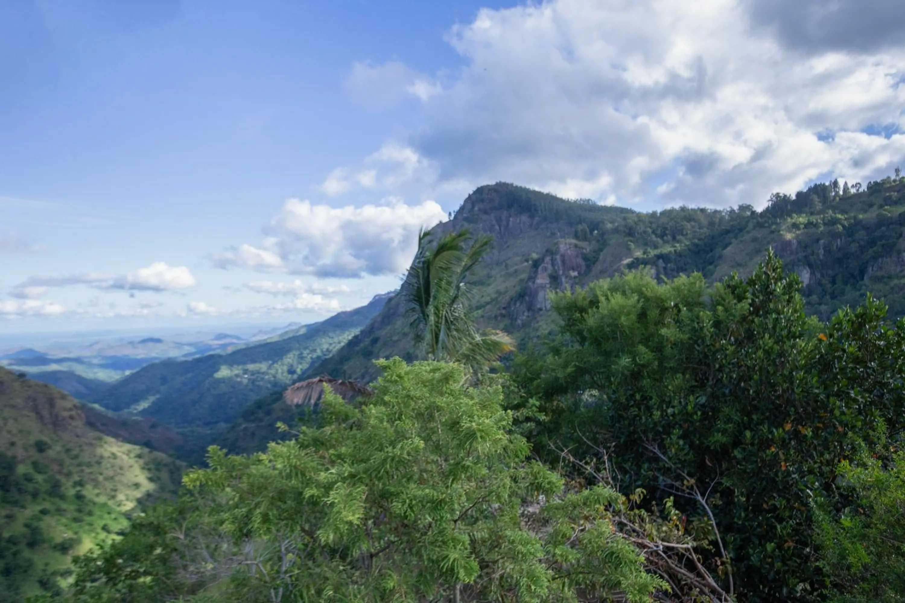 Location in Green Hill