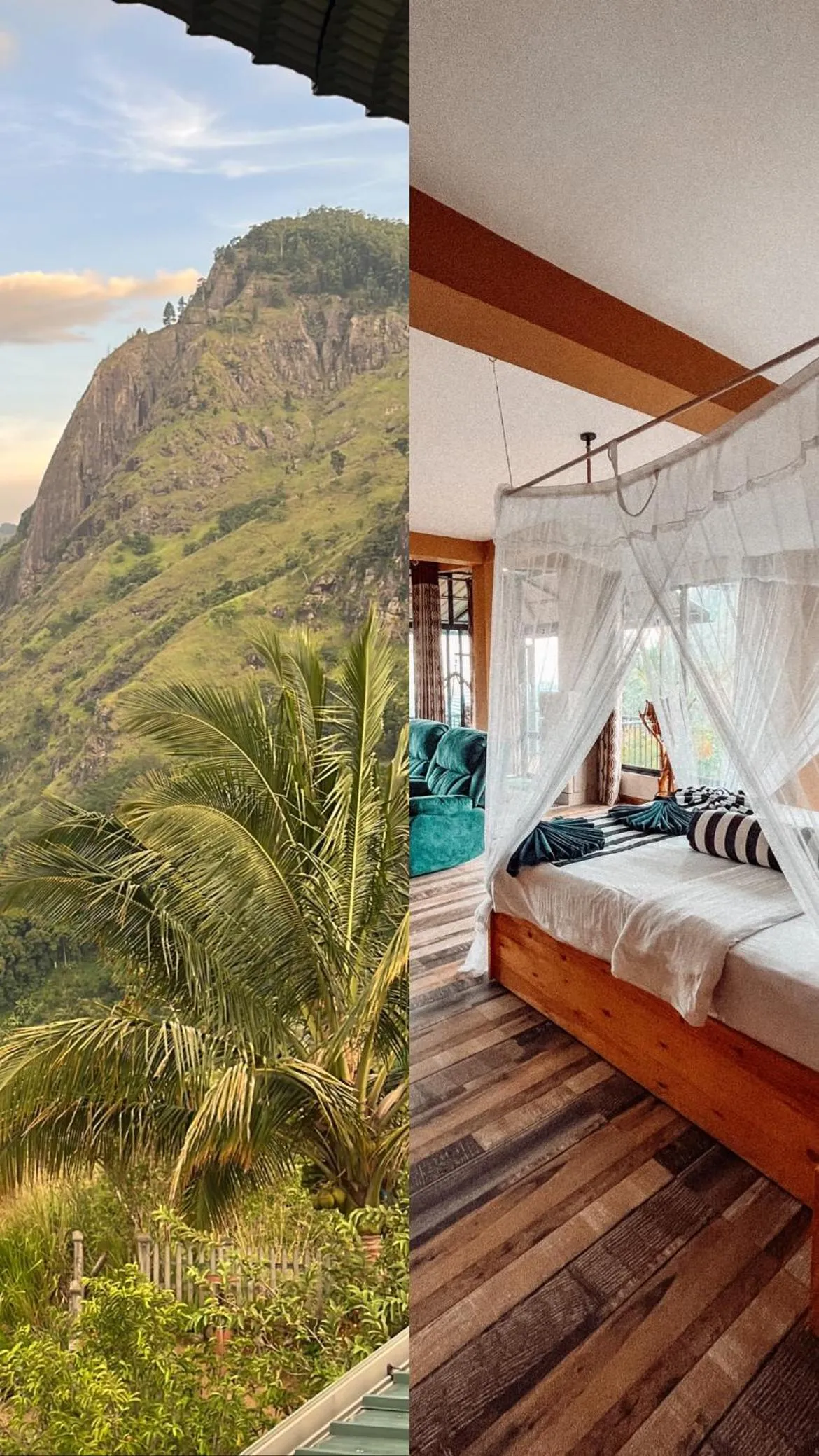 View (from property/room), Bed in Green Hill