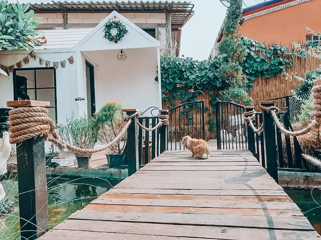 Animals in The Castello Resort