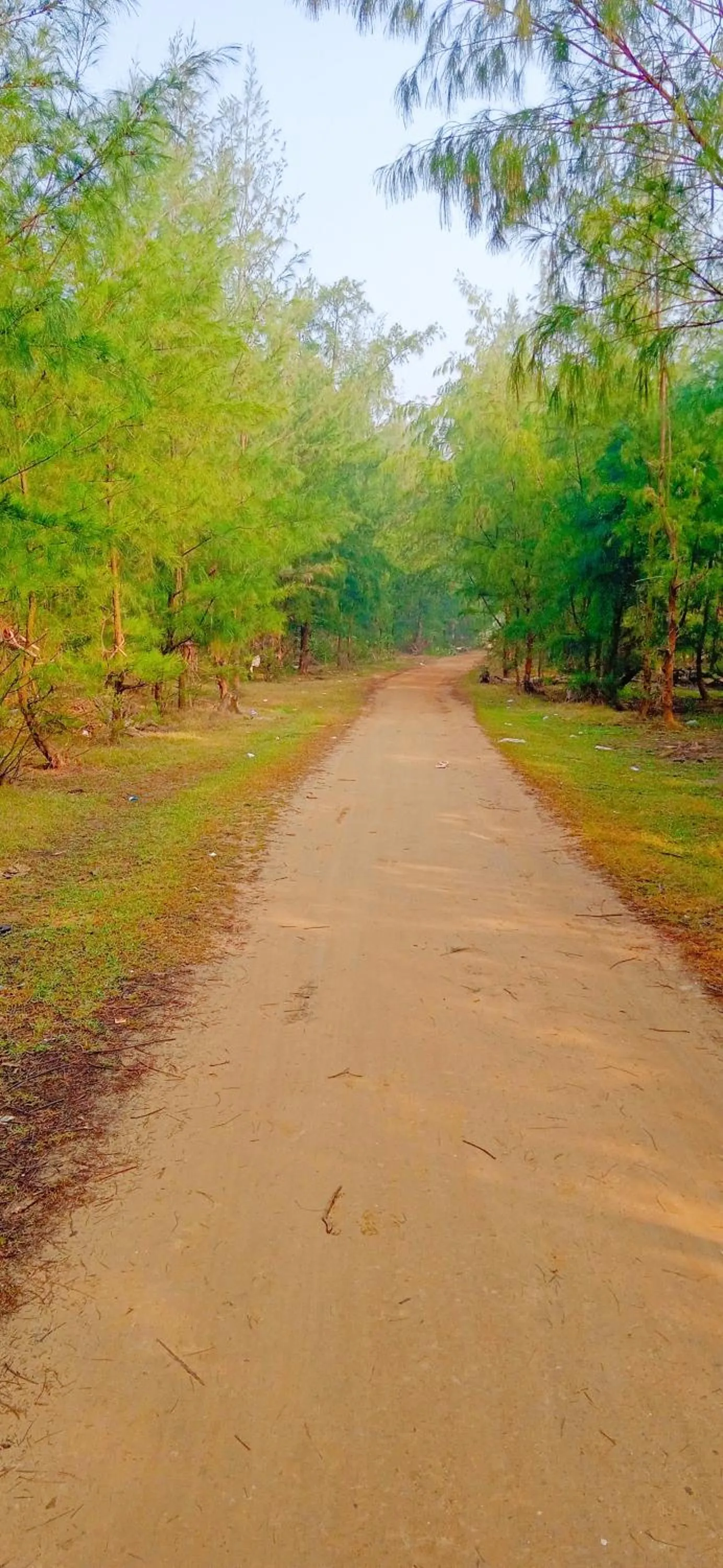 Sea Bird Resort Resturant