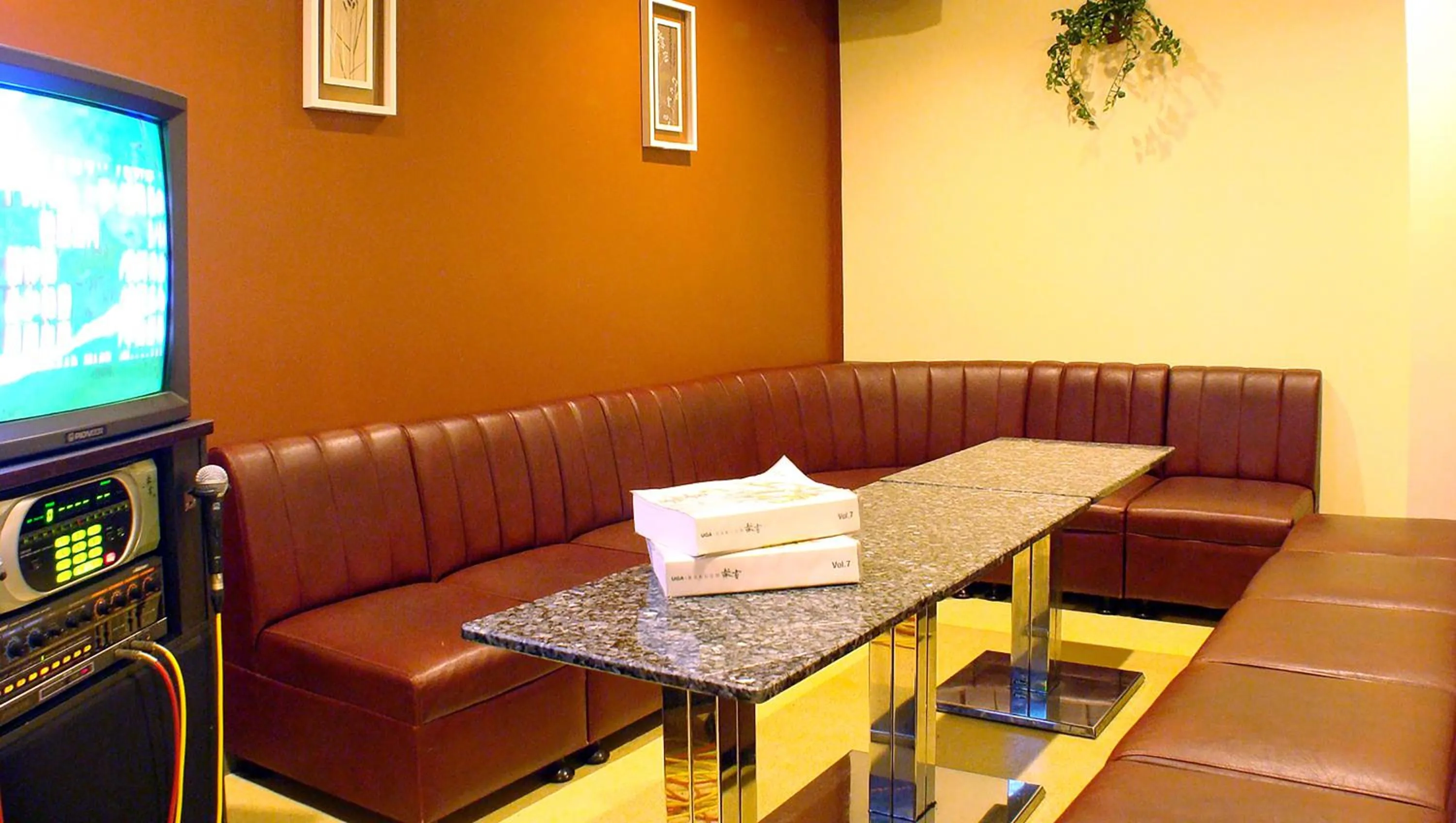 Karaoke in Kasugai View Hotel