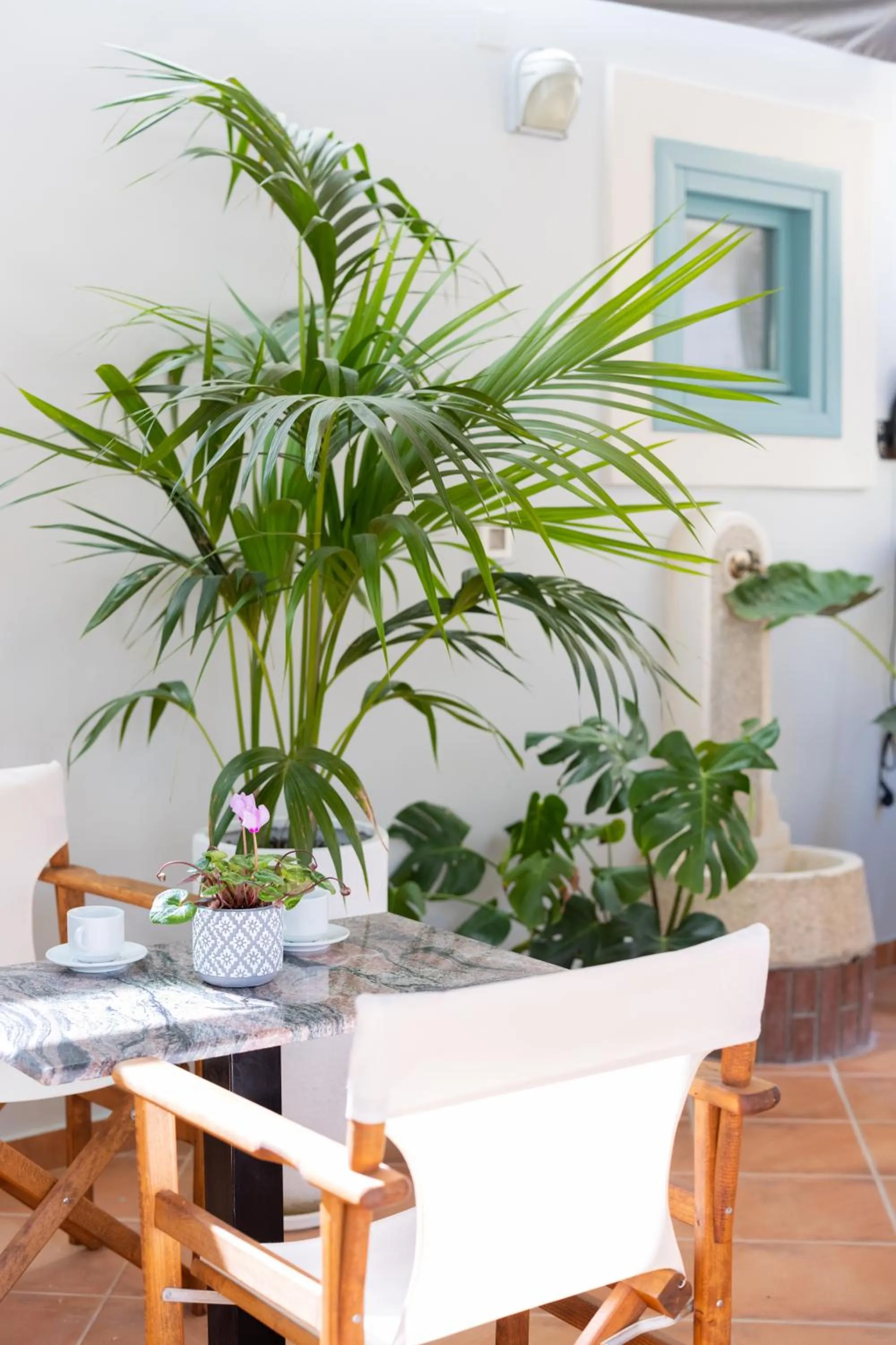 Garden view in 999 Luxury Hotel