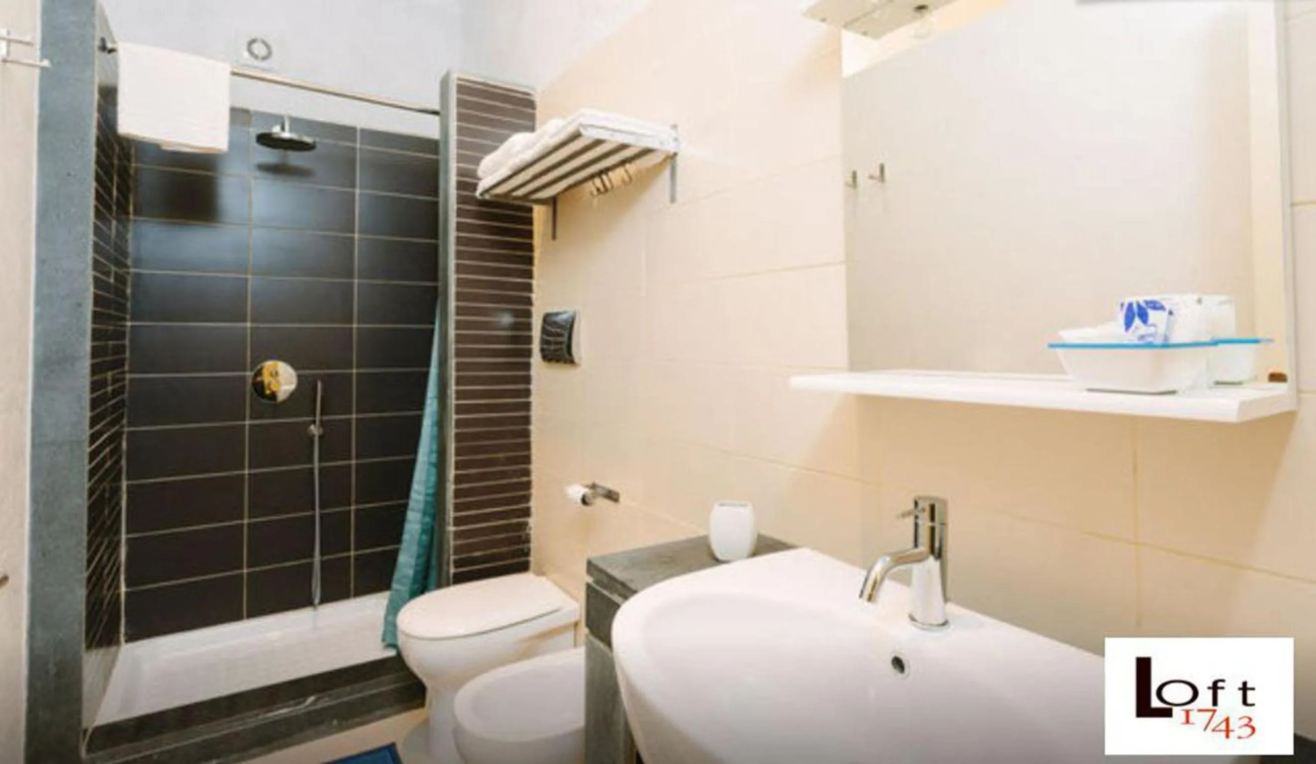 Bathroom in 1743 Loft