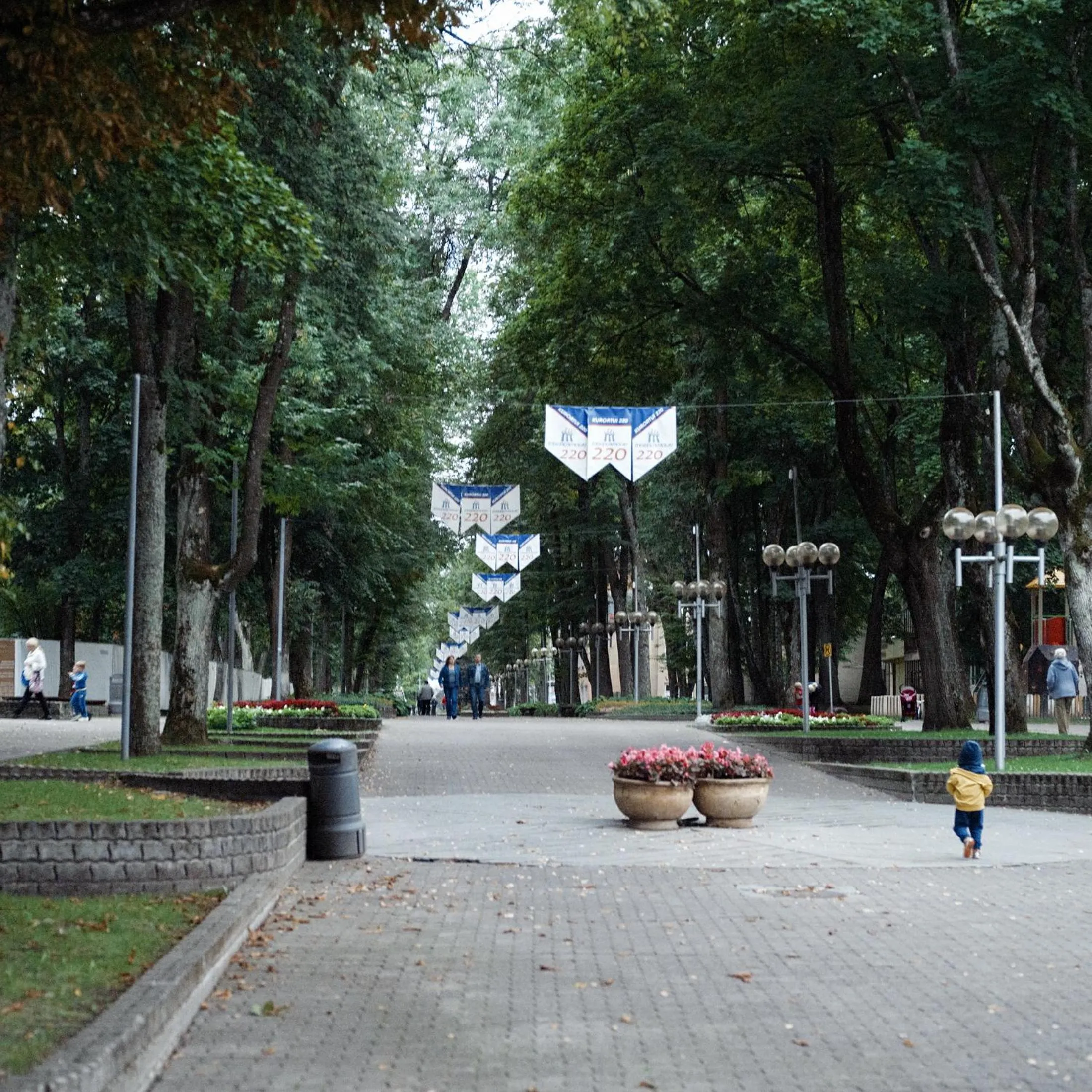 Area and facilities in Domi Lini