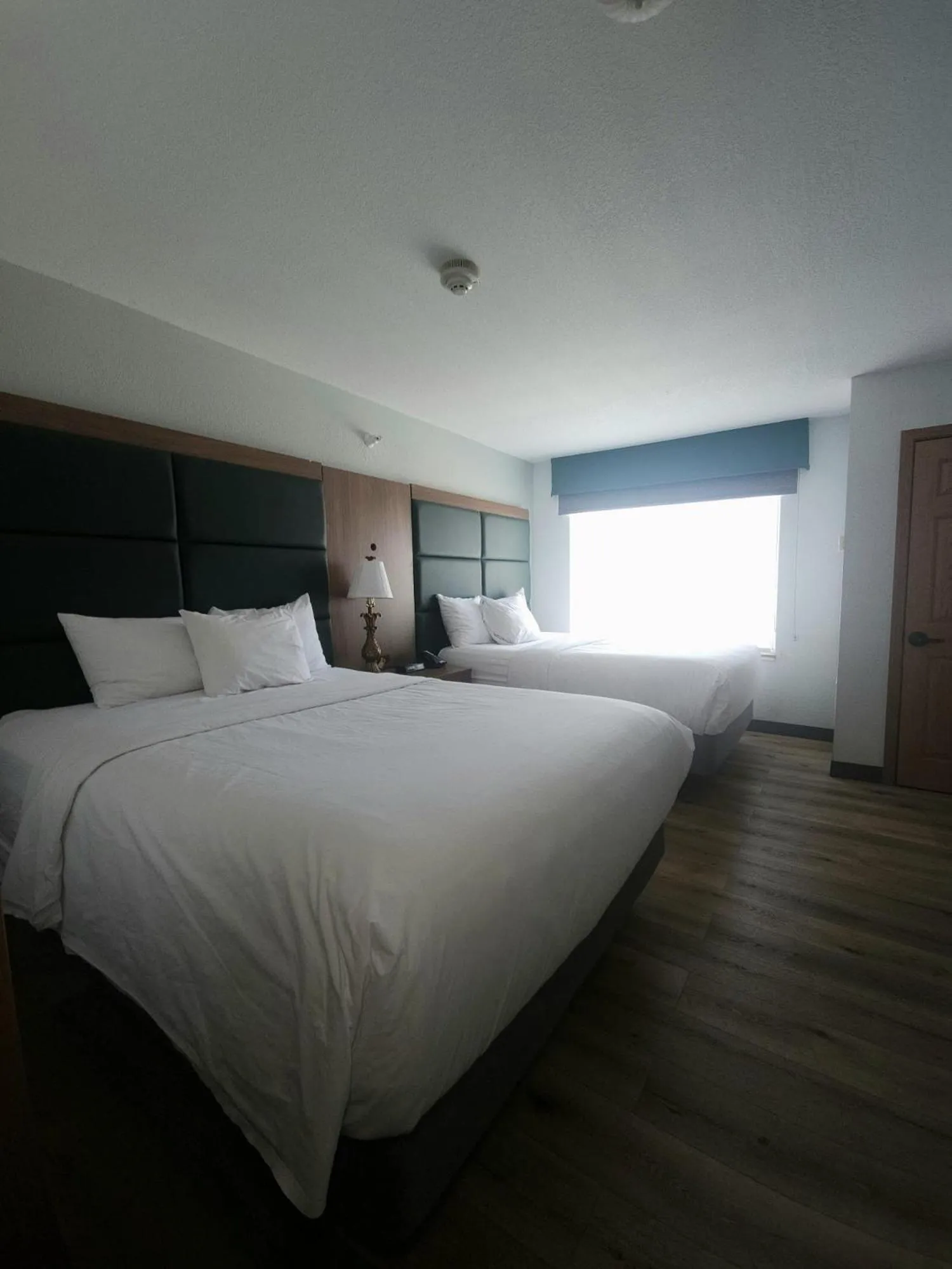 Bedroom, Bed in Wingate by Wyndham Youngstown - Austintown