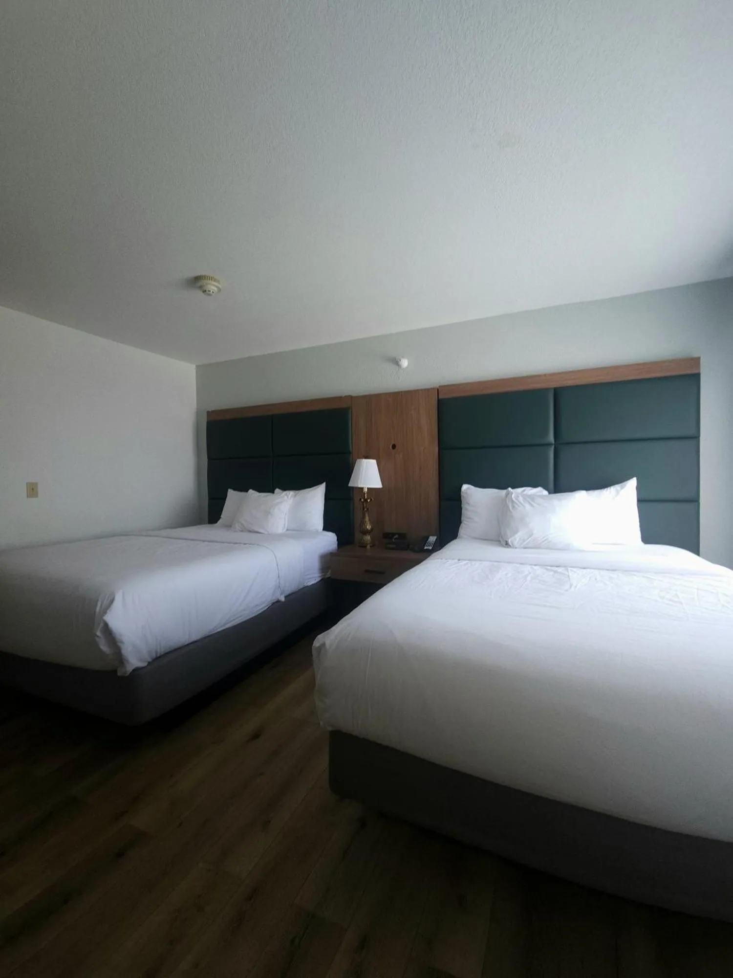 Bedroom, Bed in Wingate by Wyndham Youngstown - Austintown