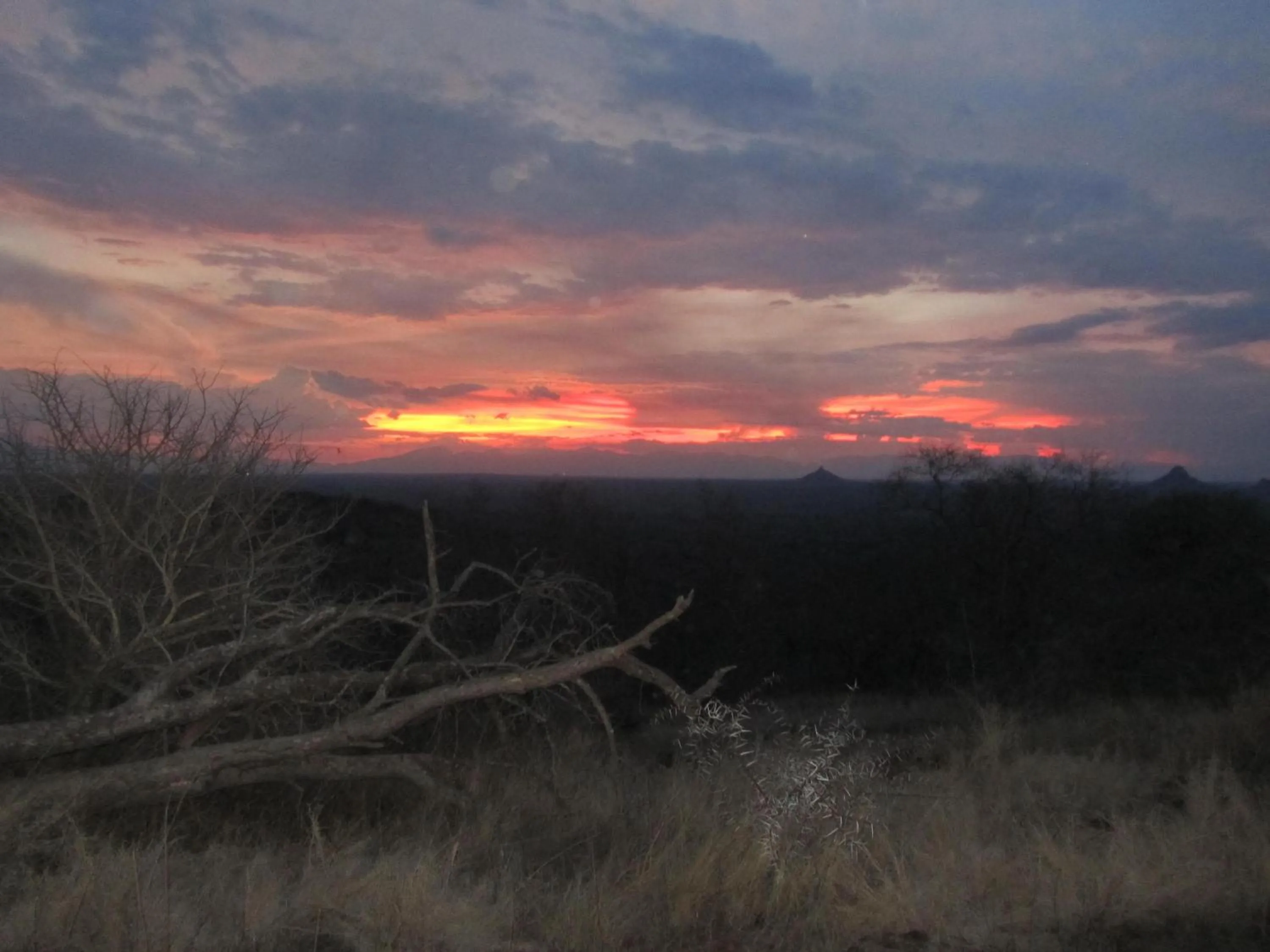 Natural landscape in Sausage Tree Safari Camp